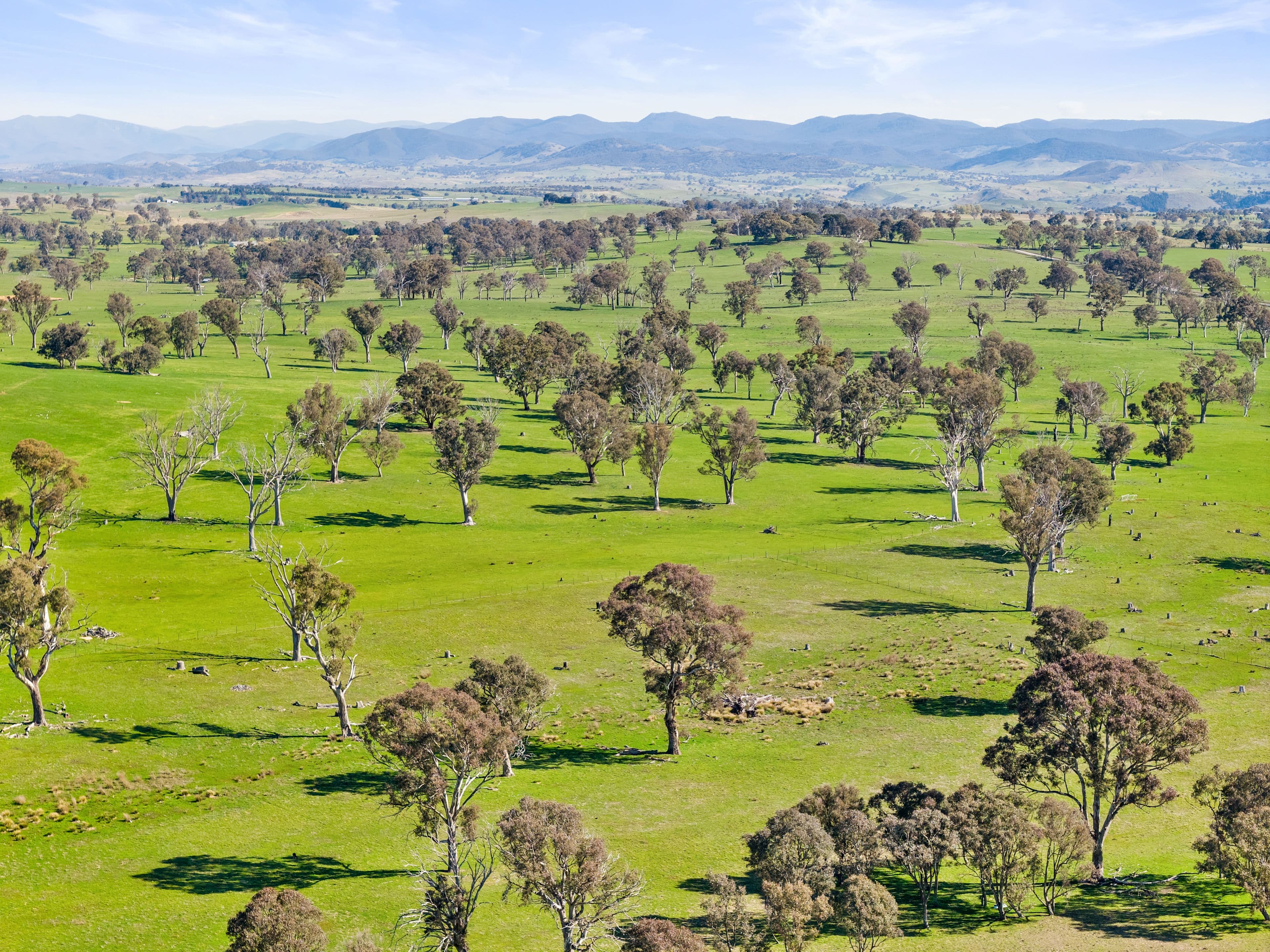 14 Belleview Drive , Murrumbateman NSW 2582, Murrumbateman - Thumbnail 6