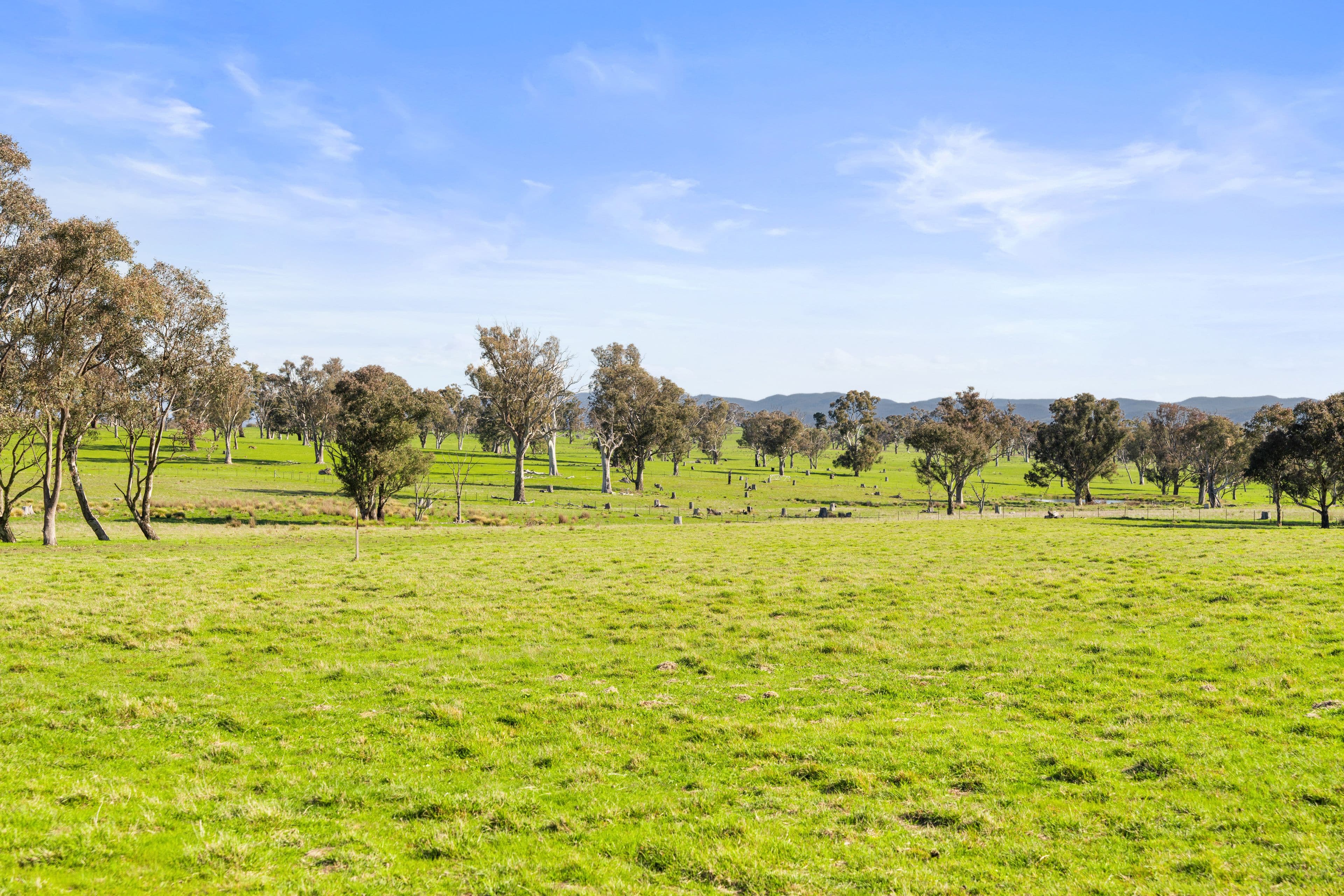 14 Belleview Drive , Murrumbateman NSW 2582, Murrumbateman - Thumbnail 7
