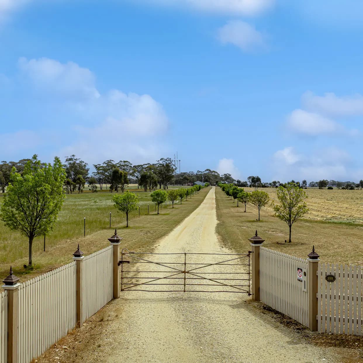 188 Engi Road , Raywood VIC 3570, Raywood - Thumbnail 5