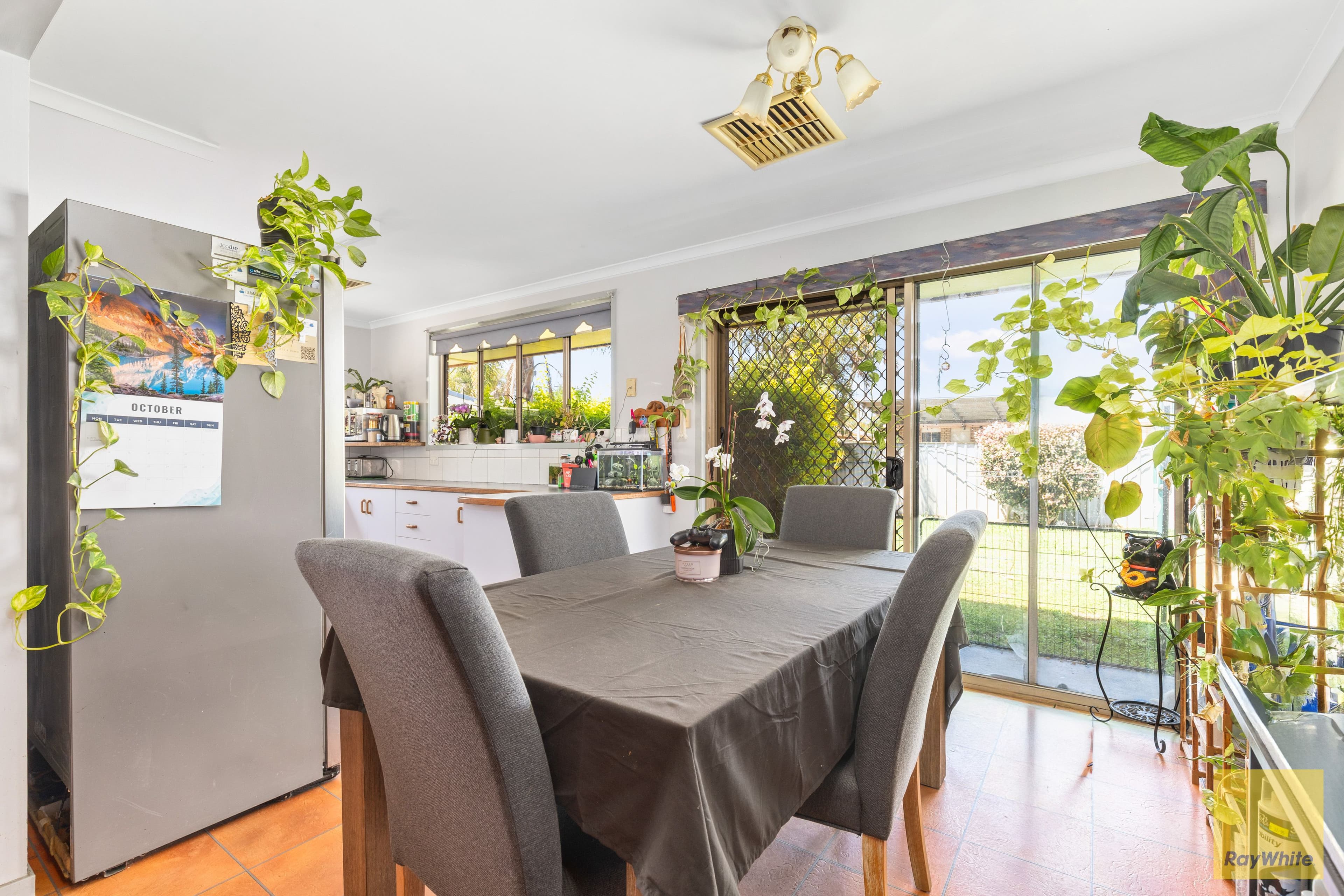 11 Eubar Place , Emerald QLD 4720, Emerald - Thumbnail 7