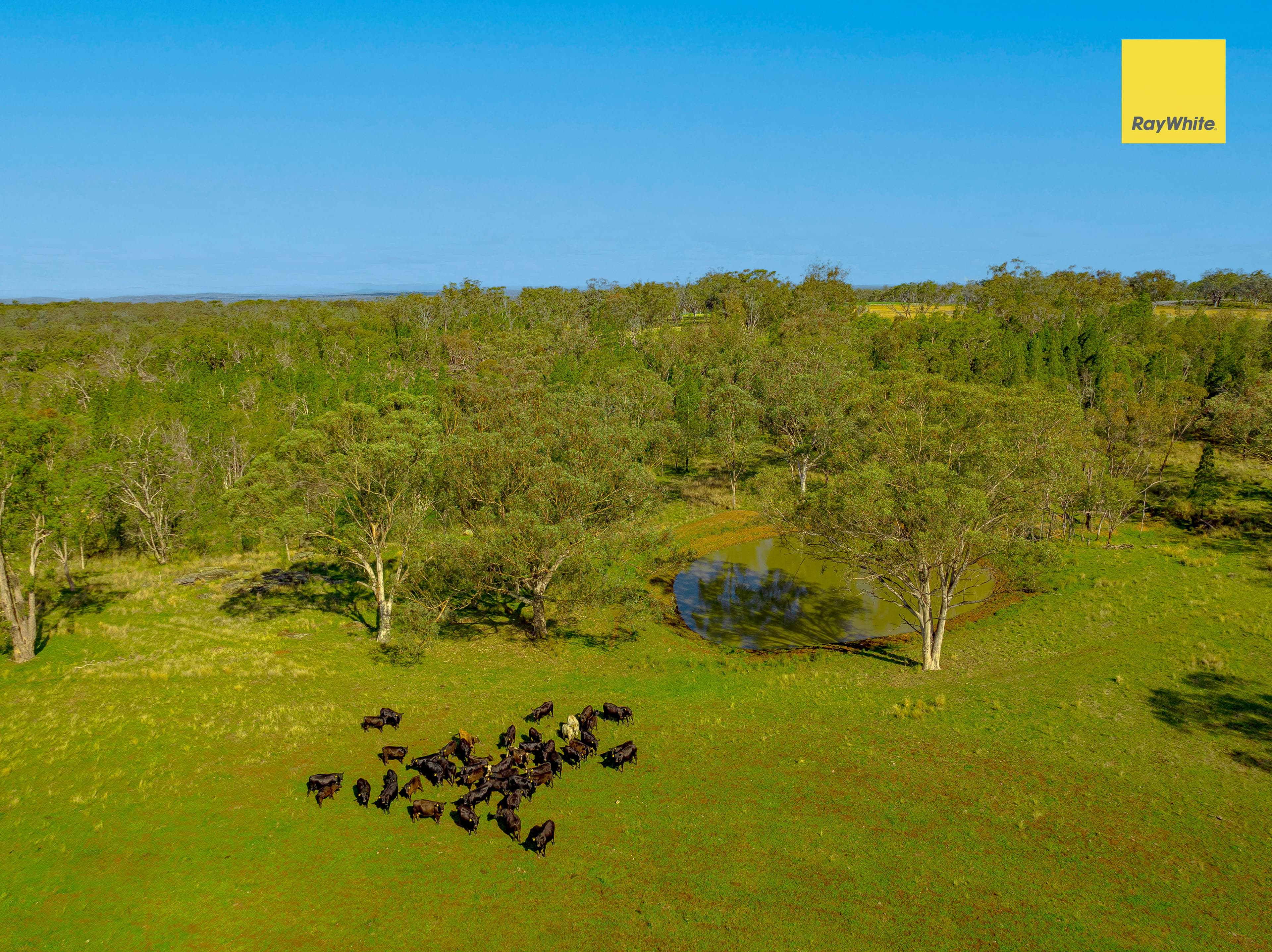 3911 Bundarra Road , Inverell NSW 2360, Inverell - Thumbnail 5