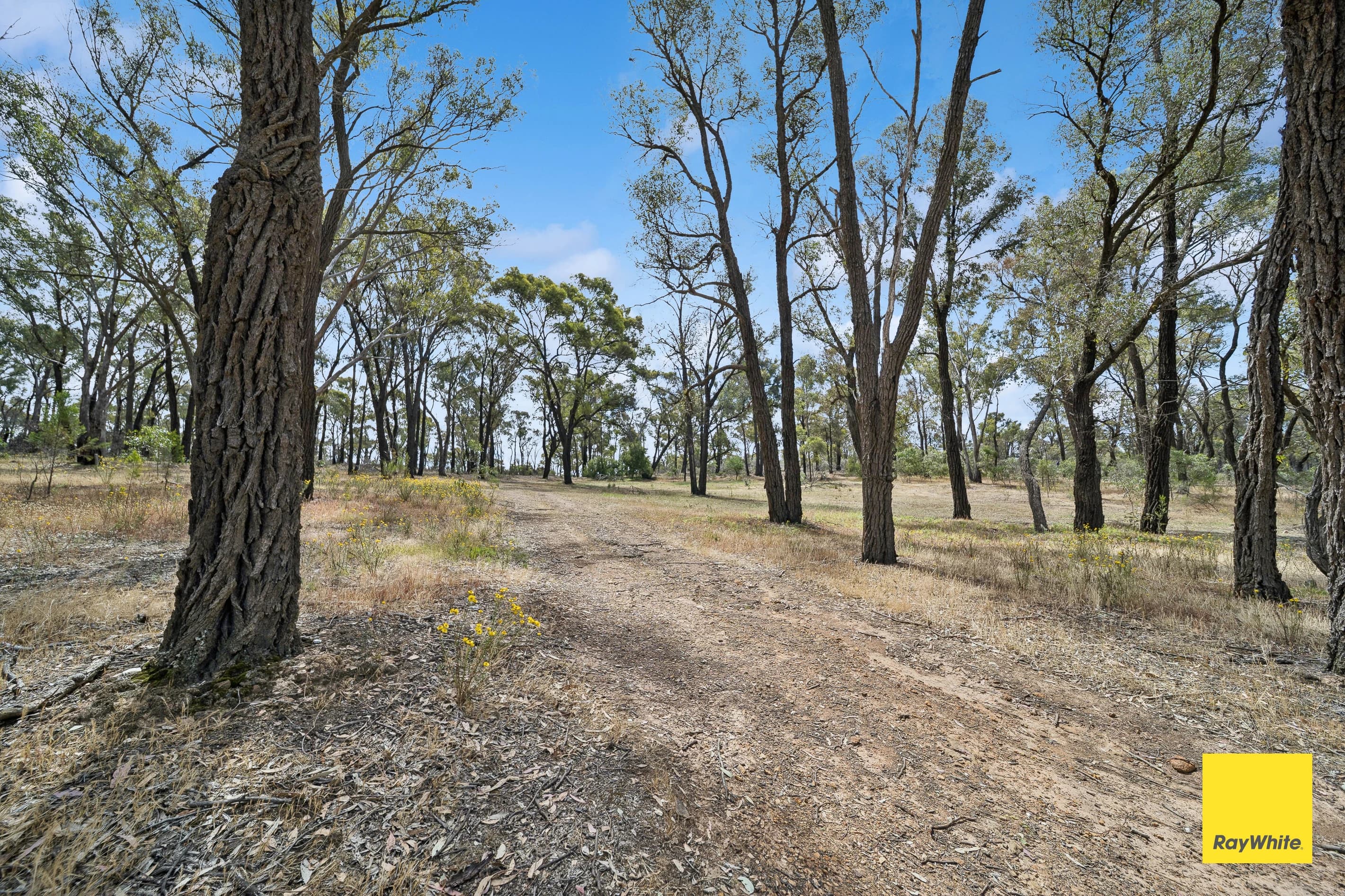 54-60 Derwent Gully Road , West Bendigo VIC 3550, West Bendigo - Image 1