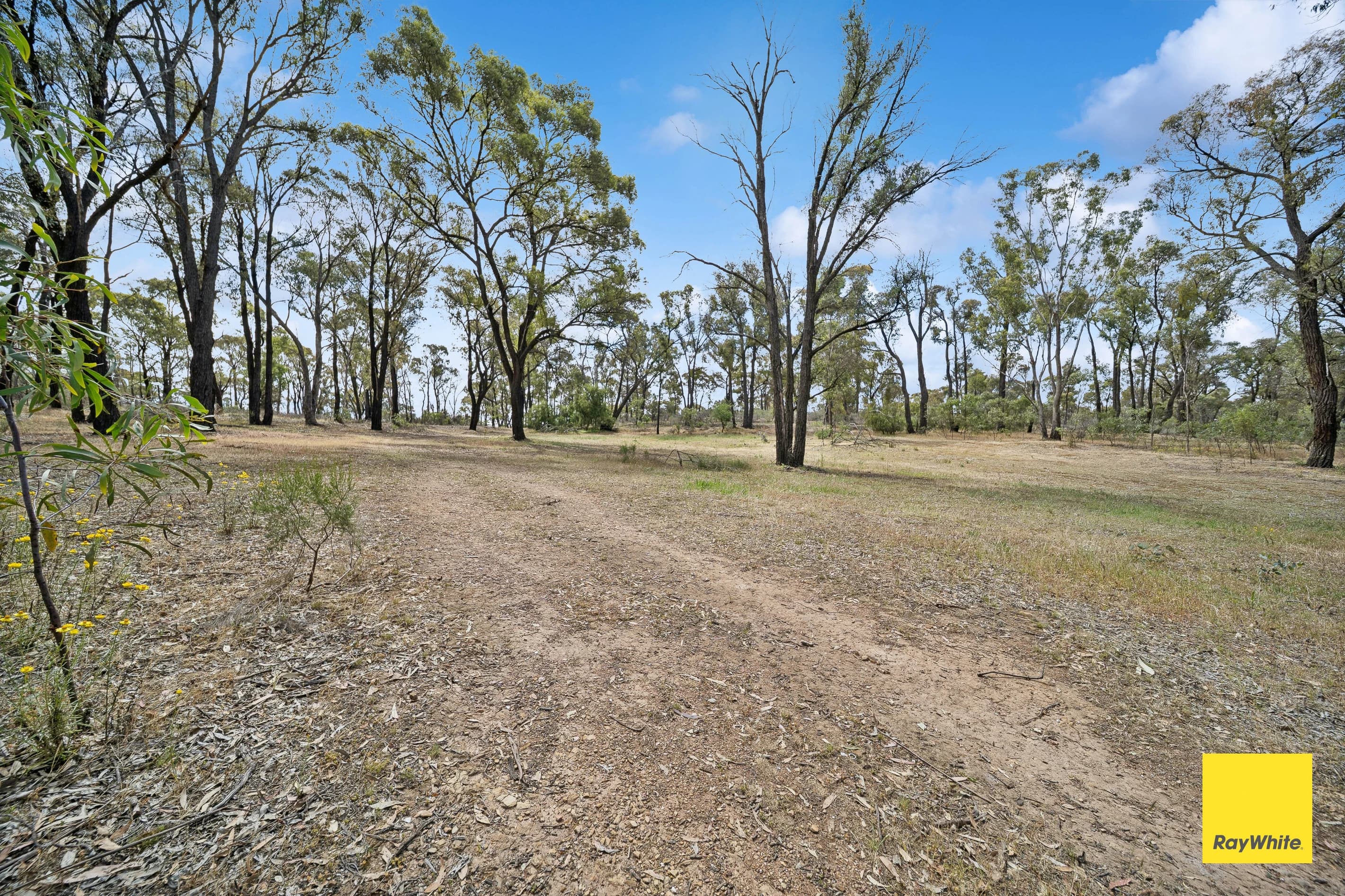 54-60 Derwent Gully Road , West Bendigo VIC 3550, West Bendigo - Thumbnail 2
