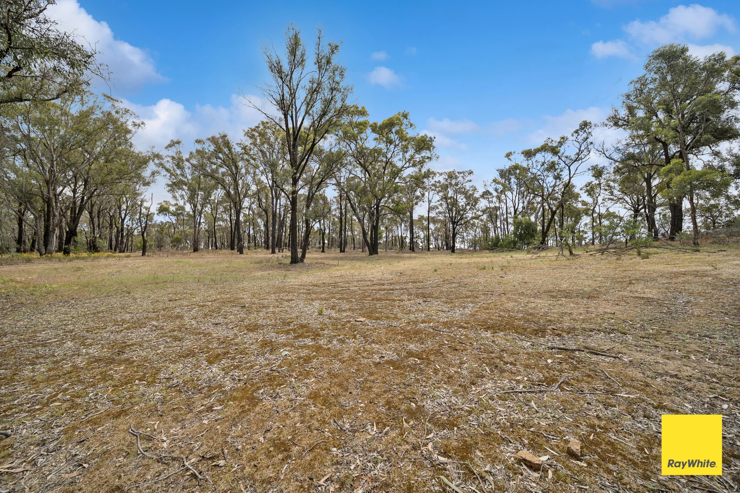 54-60 Derwent Gully Road , West Bendigo VIC 3550, West Bendigo - Thumbnail 3