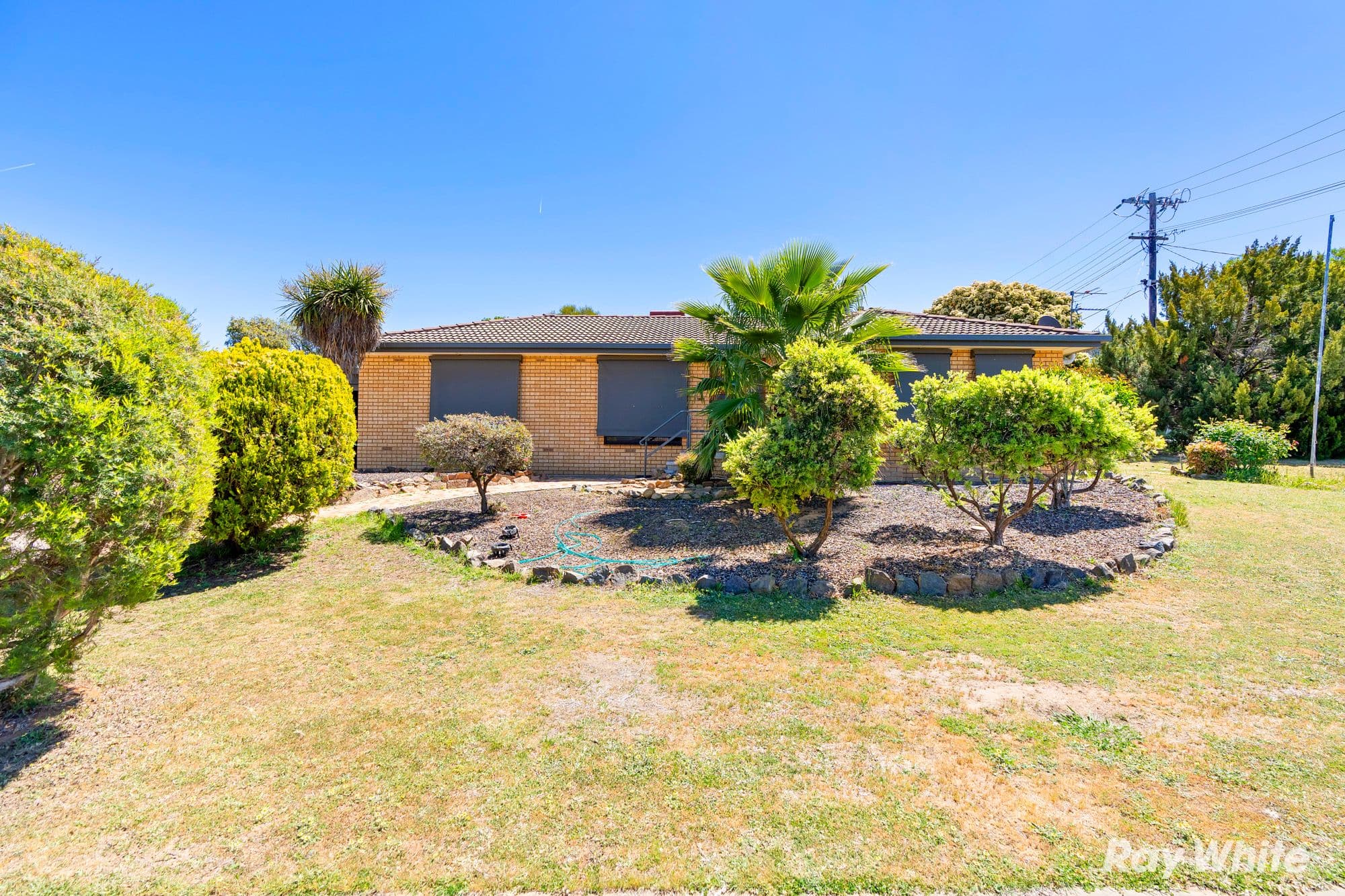 37 Merinda Crescent , Kooringal NSW 2650, Kooringal - Thumbnail 2