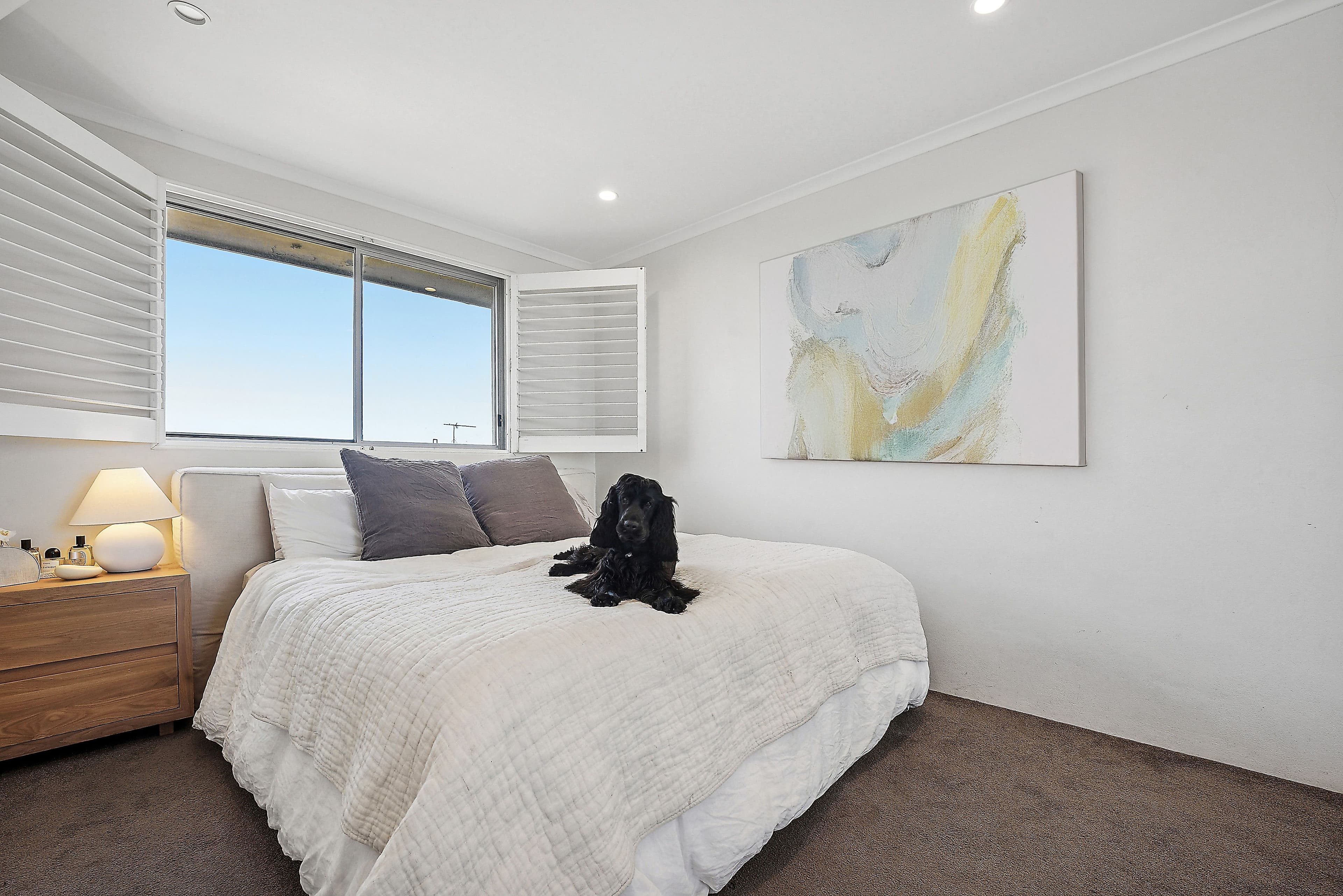 15 Wallis Parade, North Bondi - Thumbnail 7