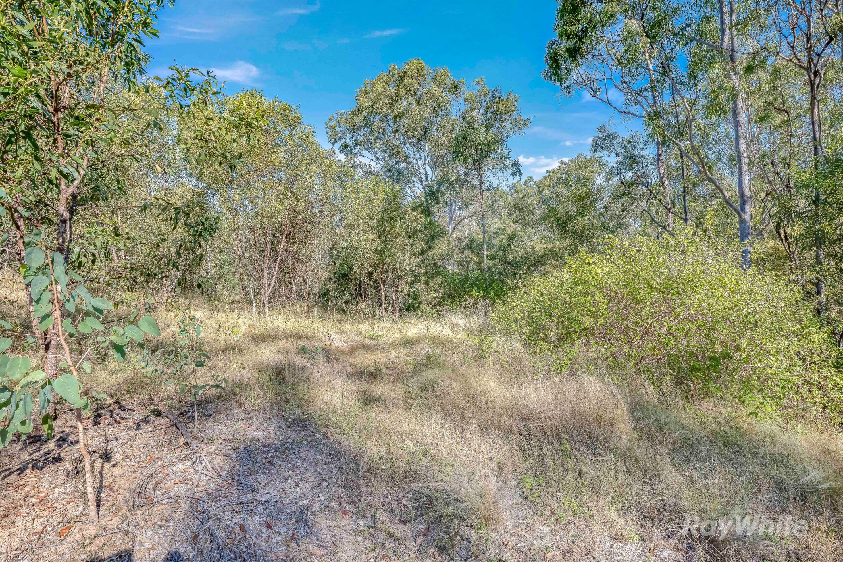 4528 Bundaberg Gin Gin Road, Maroondan - Thumbnail 3