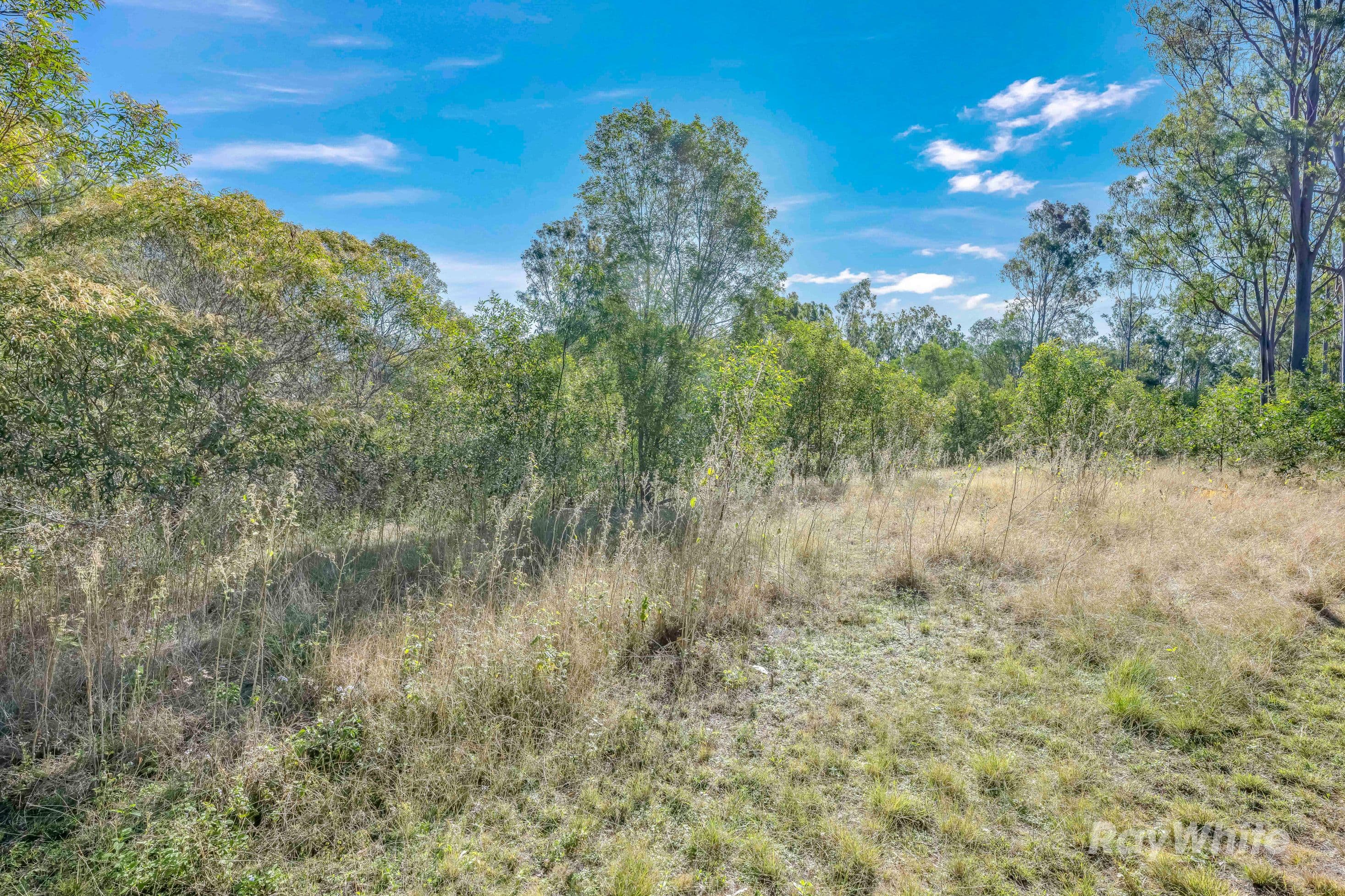 4528 Bundaberg Gin Gin Road, Maroondan - Thumbnail 4