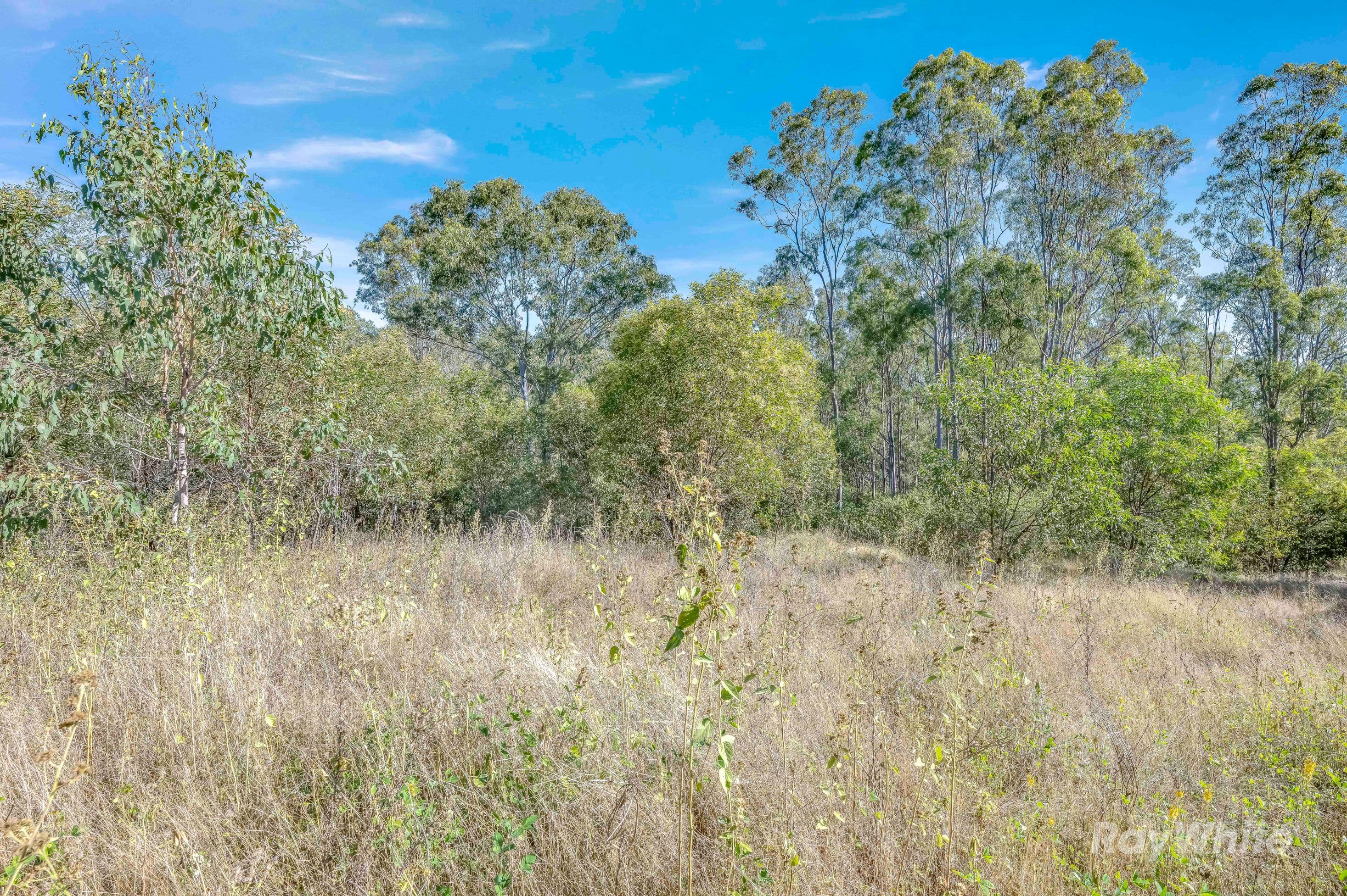 4528 Bundaberg Gin Gin Road, Maroondan - Thumbnail 5