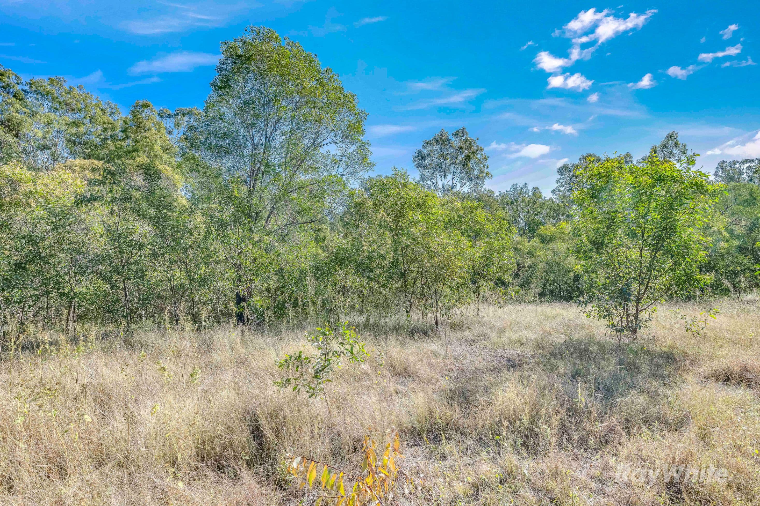 4528 Bundaberg Gin Gin Road, Maroondan - Thumbnail 6