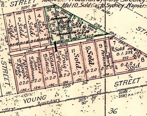 4016 Bribbaree Road, Bribbaree Via , Young NSW 2594, Young - Thumbnail 3