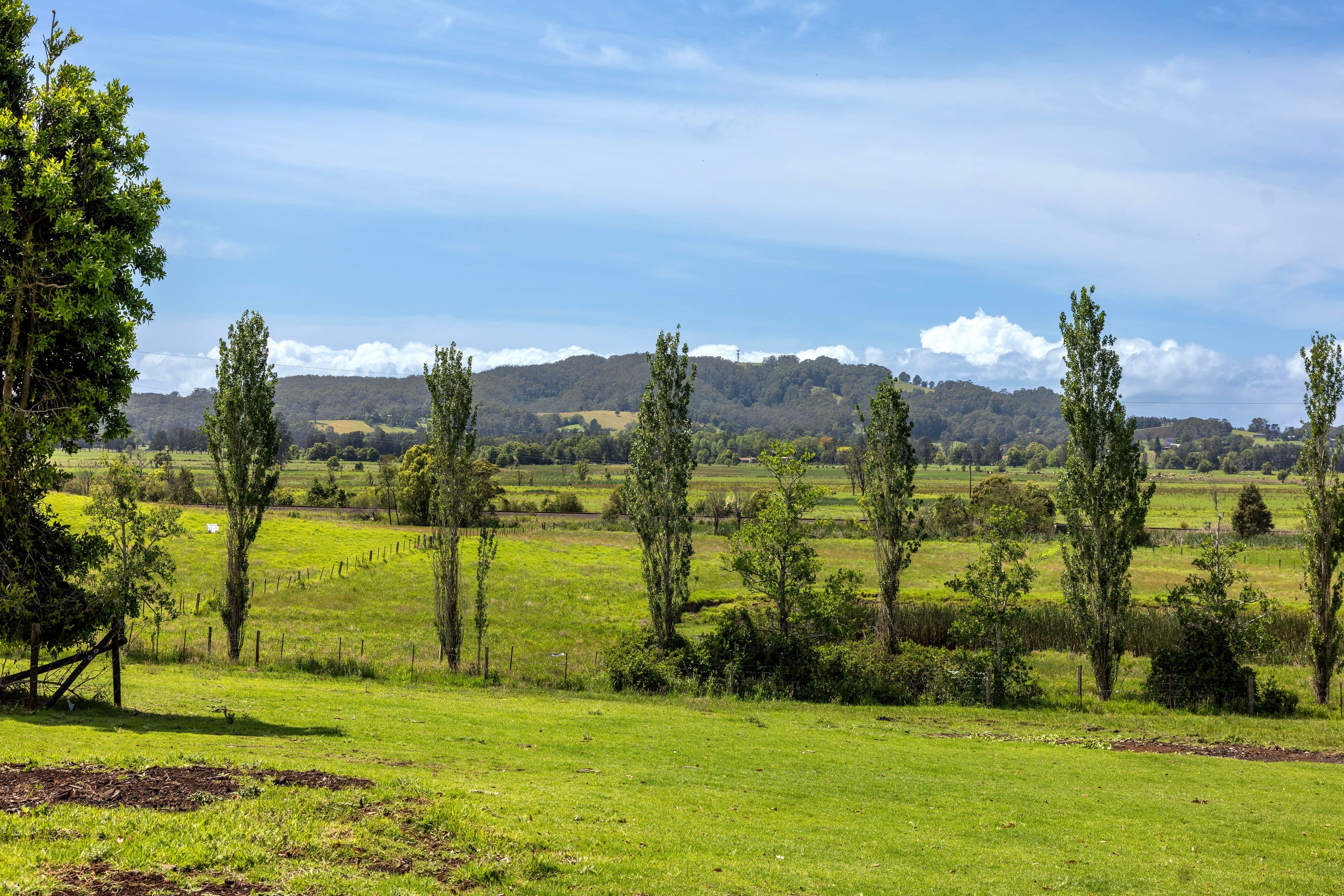 B125 Princes Highway , Berry NSW 2535, Berry - Thumbnail 5