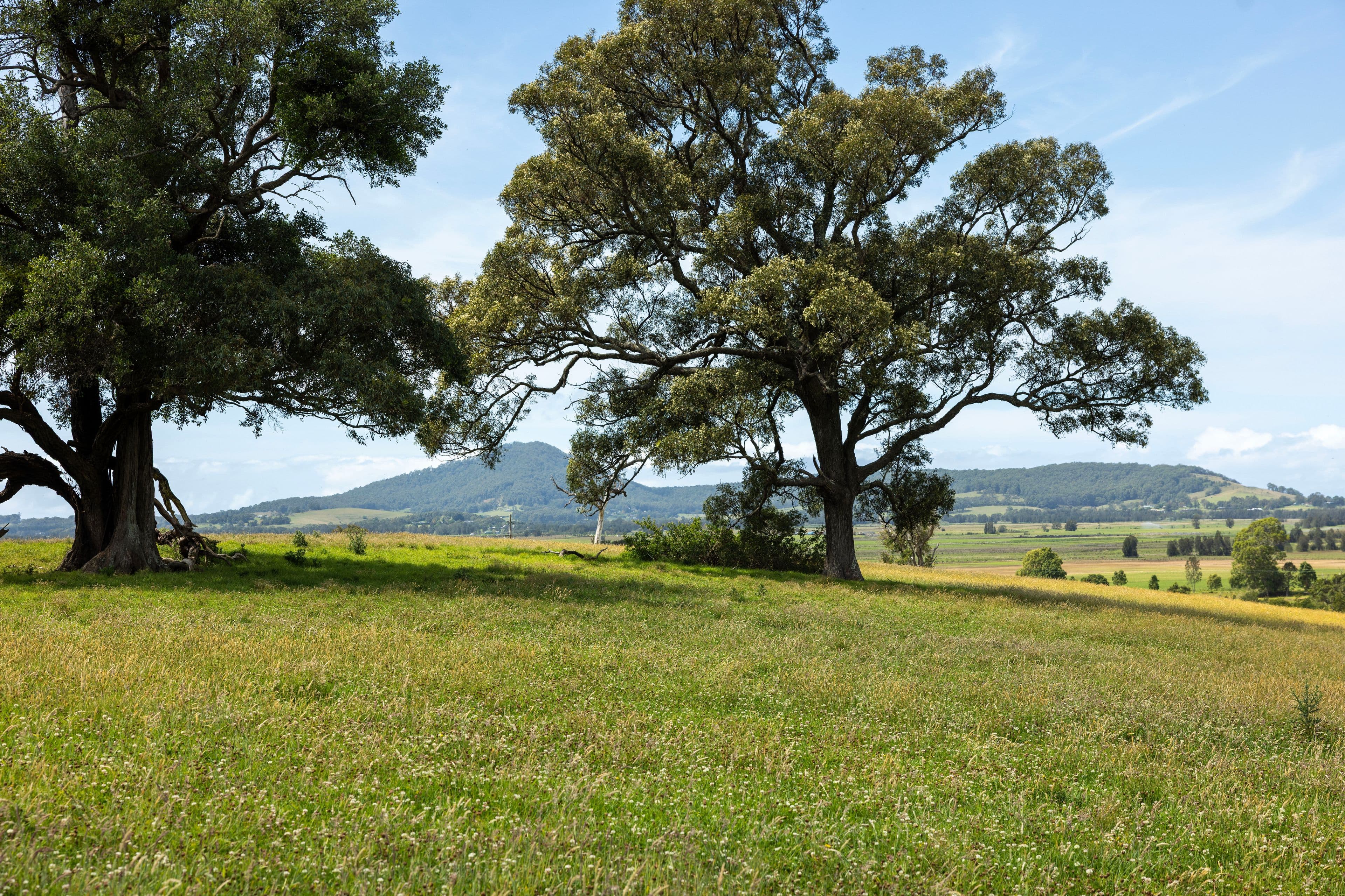 B510 Princes Highway , Jaspers Brush NSW 2535, Jaspers Brush - Thumbnail 5