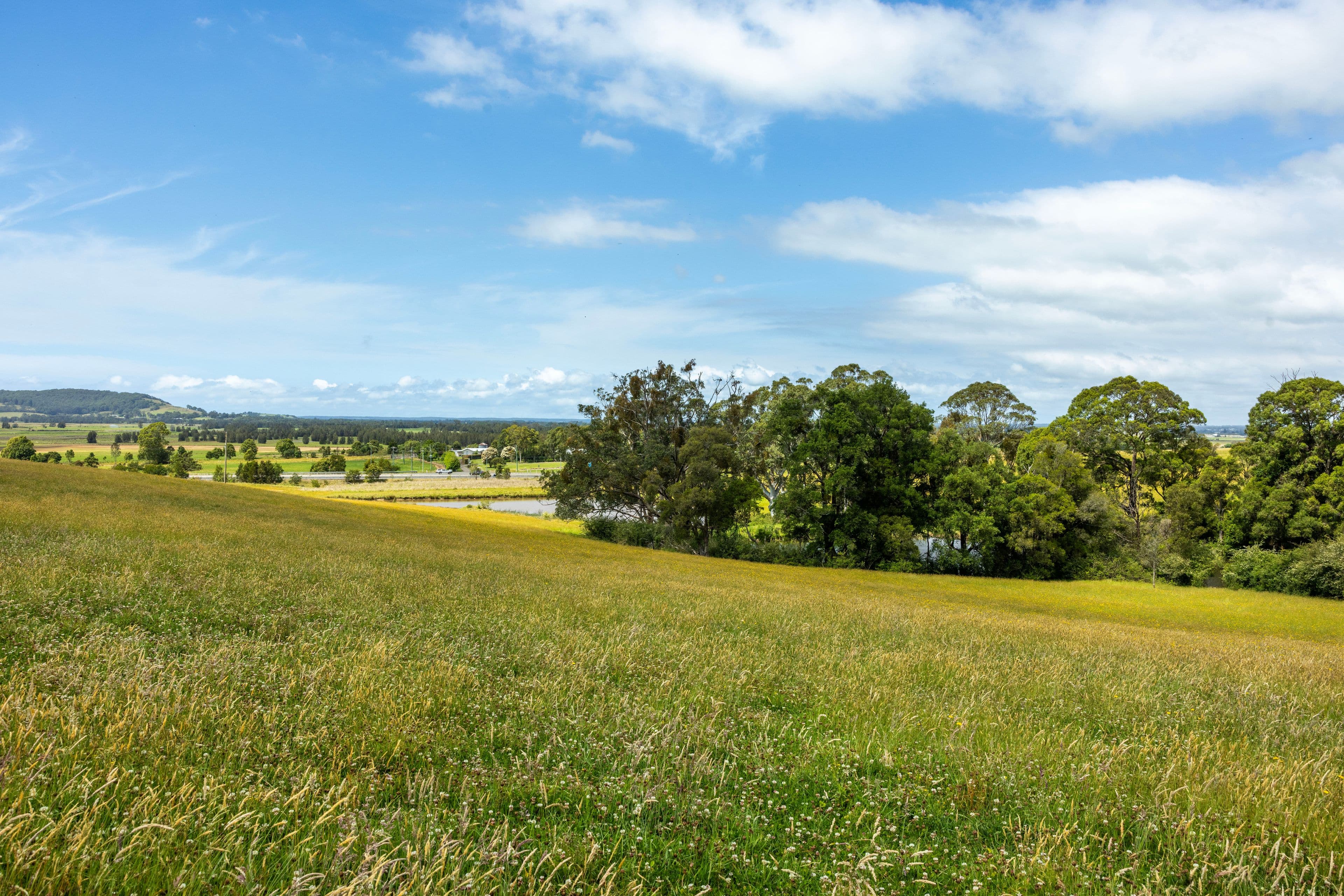 B510 Princes Highway , Jaspers Brush NSW 2535, Jaspers Brush - Thumbnail 6