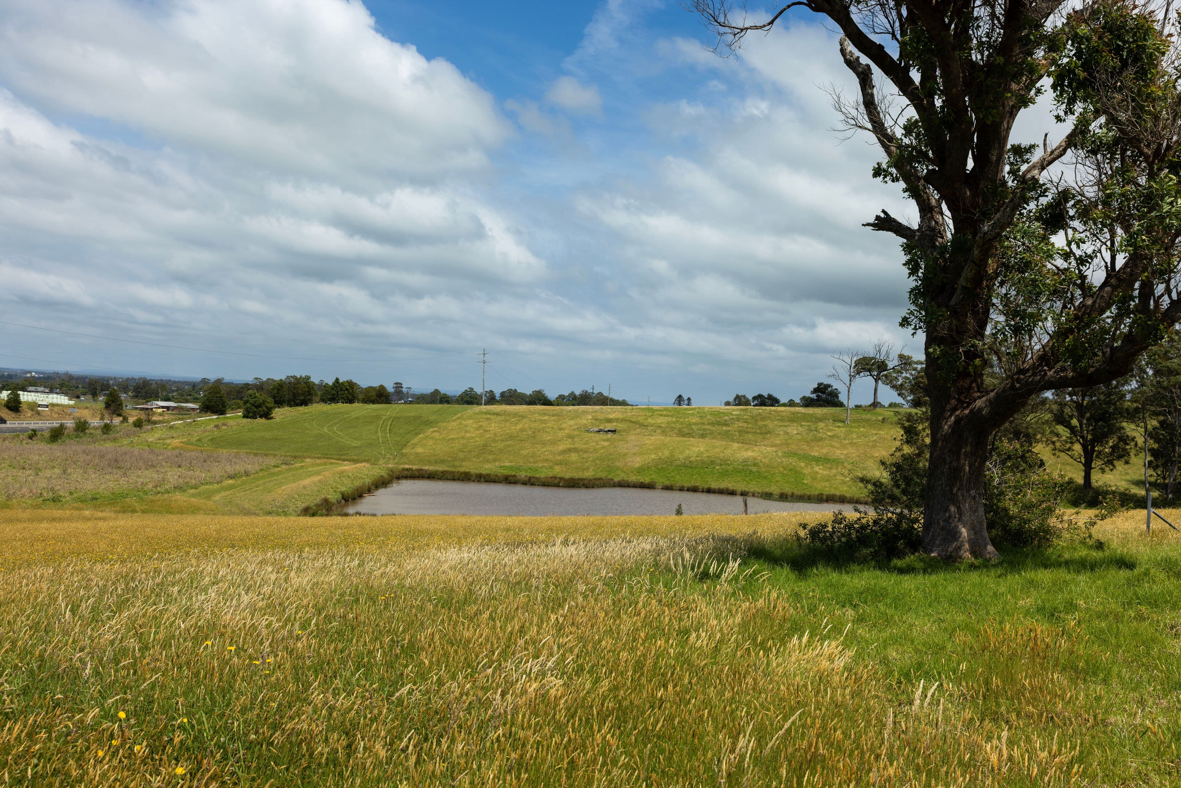 B510 Princes Highway , Jaspers Brush NSW 2535, Jaspers Brush - Thumbnail 8