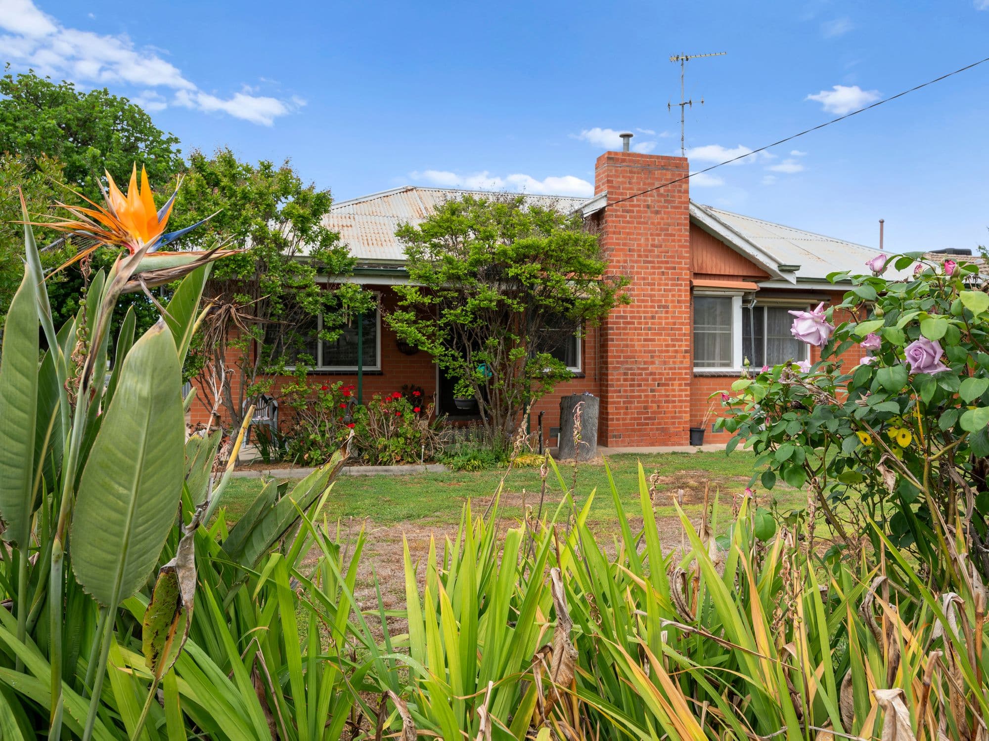 81 Waller Street , Benalla VIC 3672, Benalla - Thumbnail 4