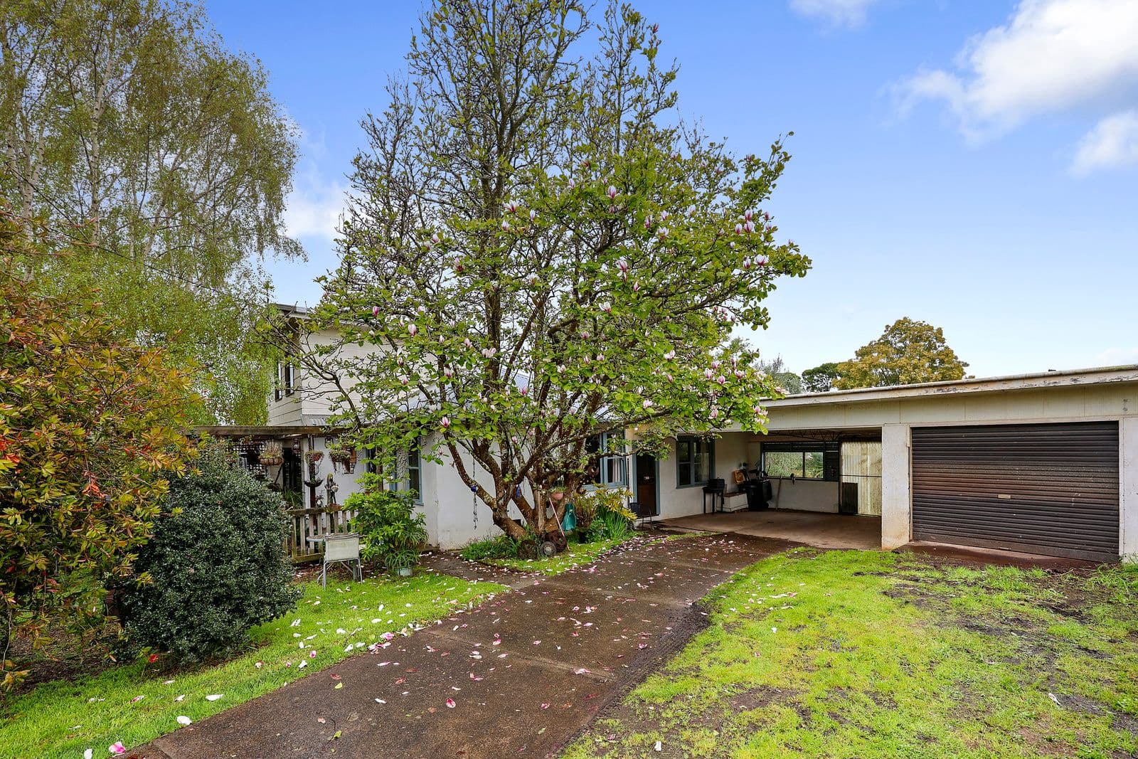 39 Barrett Street, Timboon - Thumbnail 4