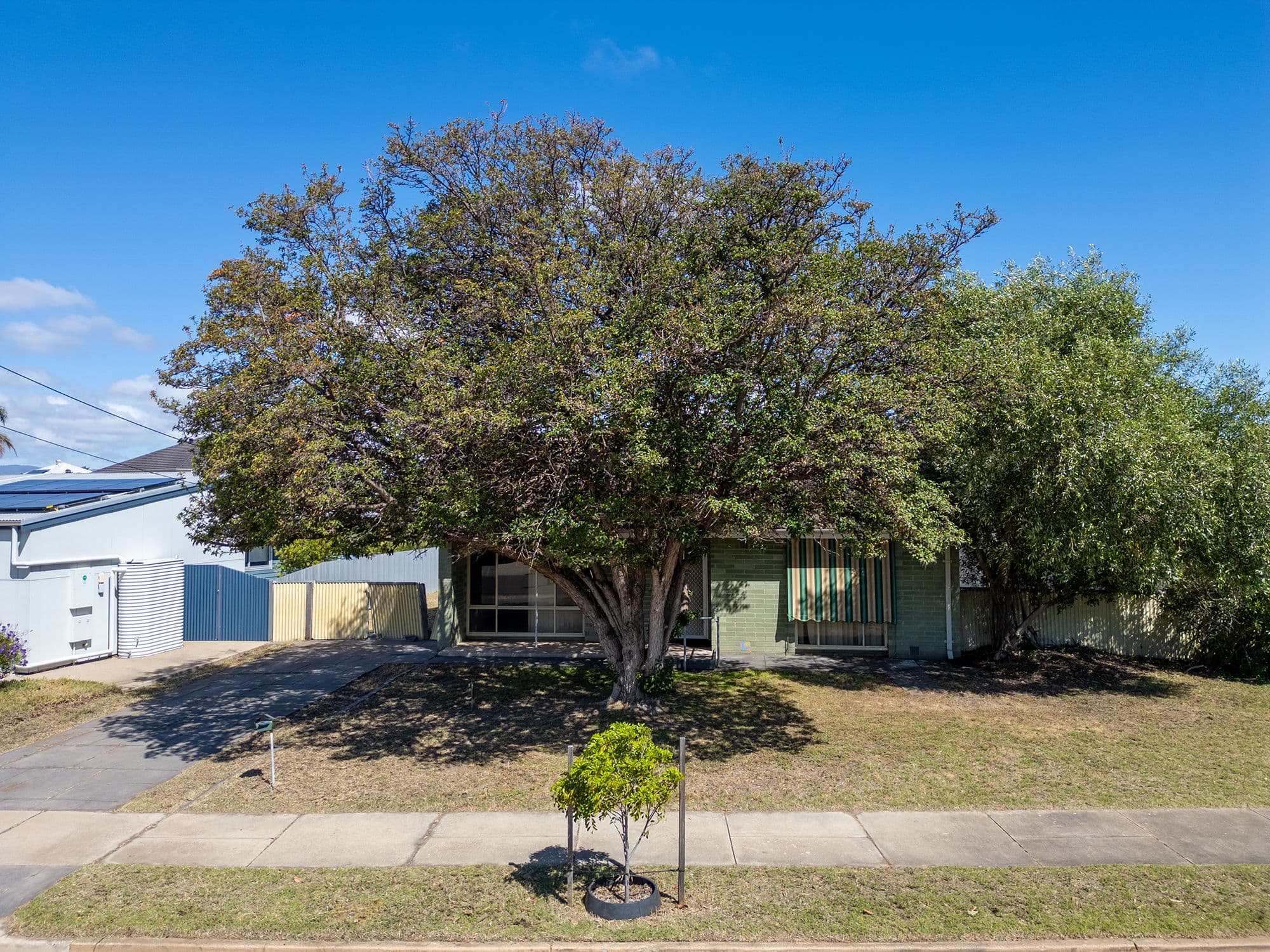 14 Moresby Street , Lockleys SA 5032, Lockleys - Thumbnail 3