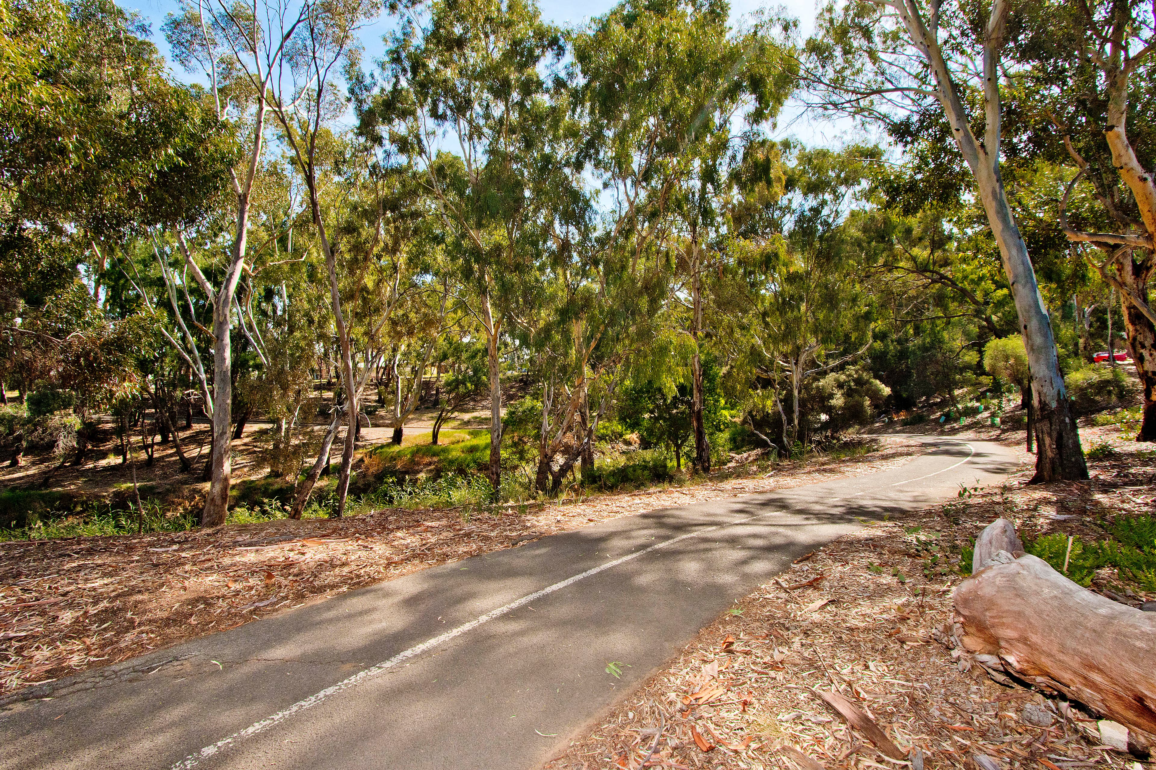 14 Moresby Street , Lockleys SA 5032, Lockleys - Thumbnail 6