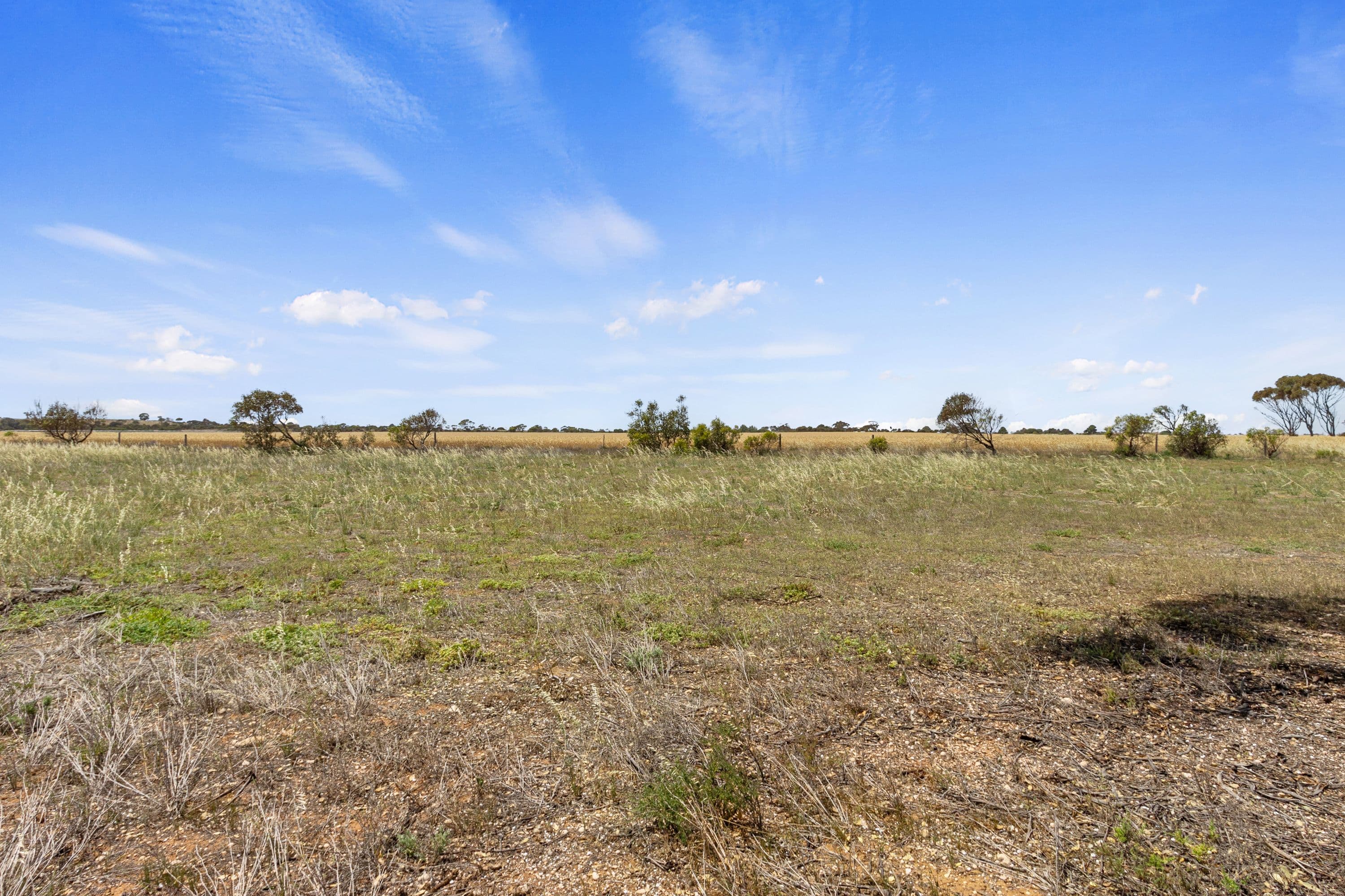 1244 Crutchett Road , North Moonta SA 5558, North Moonta - Thumbnail 8