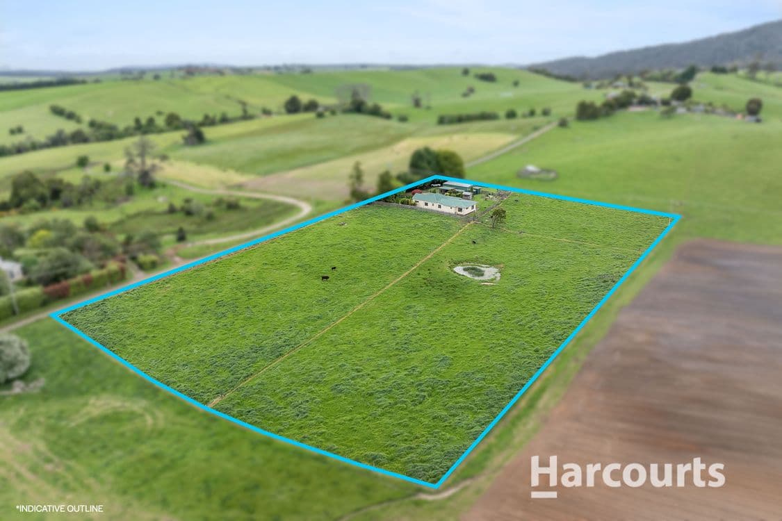 148 Austins Road, SCOTTSDALE, TAS 7260, Scottsdale - Thumbnail 2