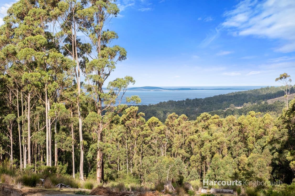 2/105 Gumpits Road, BIRCHS BAY, TAS 7162, Birchs Bay - Thumbnail 5