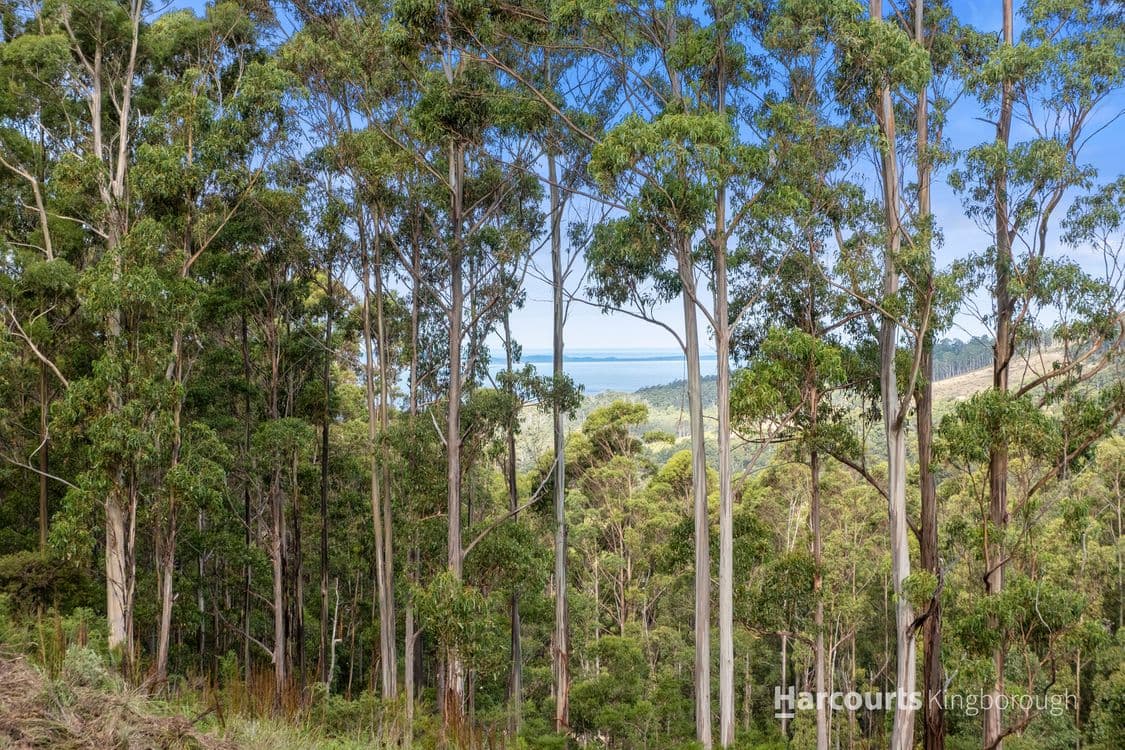 2/105 Gumpits Road, BIRCHS BAY, TAS 7162, Birchs Bay - Thumbnail 6