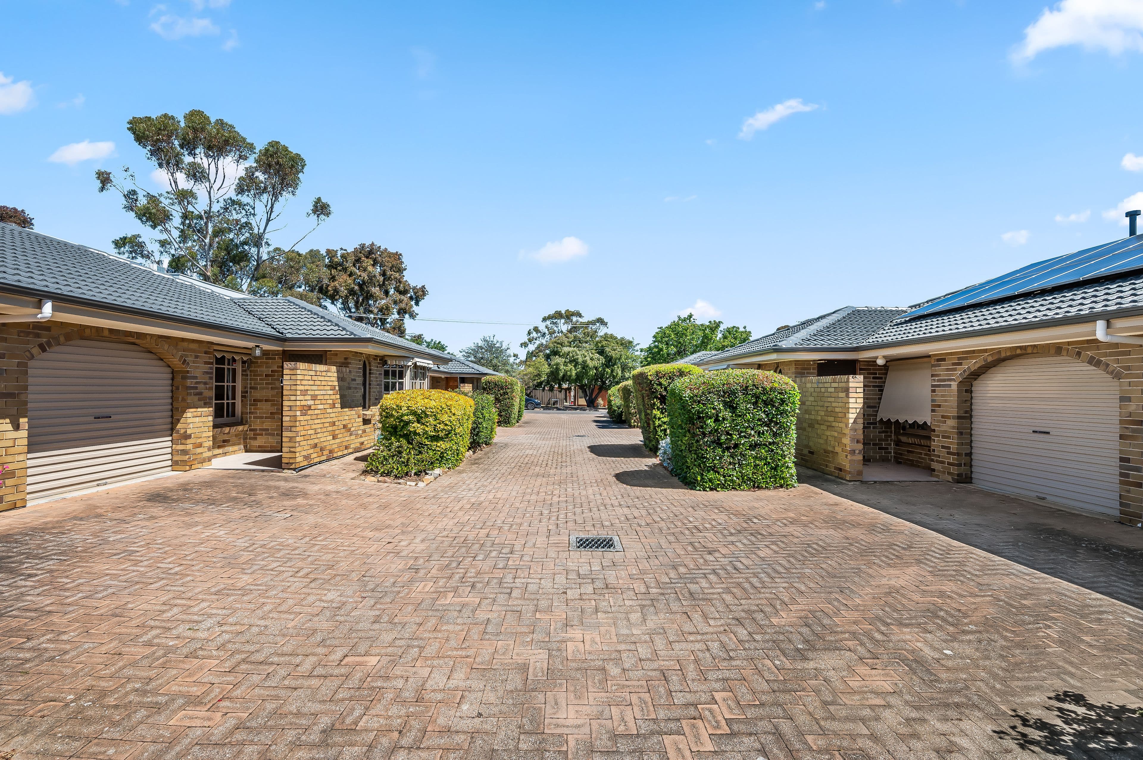 47 Albion Terrace , Campbelltown SA 5074, Campbelltown - Thumbnail 2