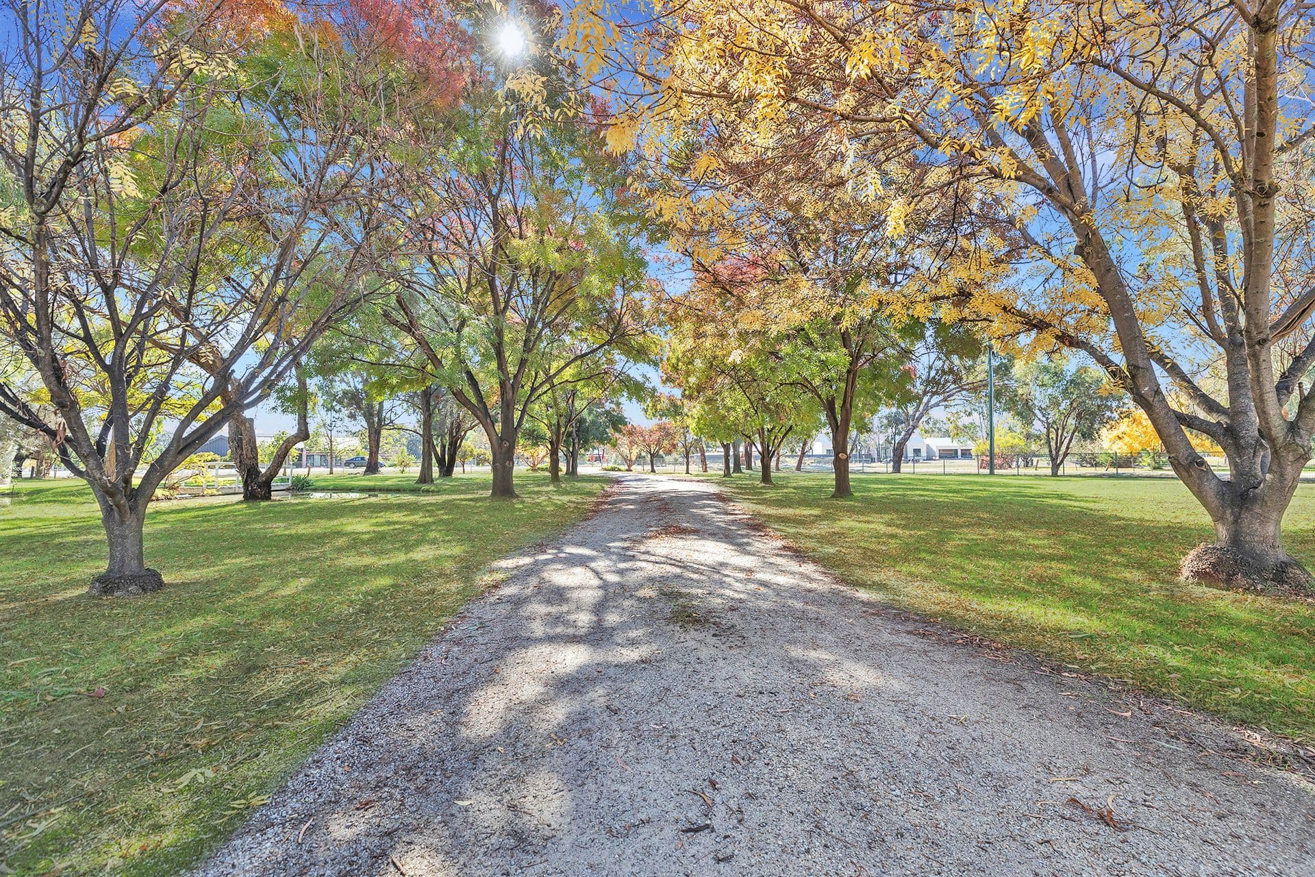 5 Maidensmith Drive , Moama NSW 2731, Moama - Thumbnail 3