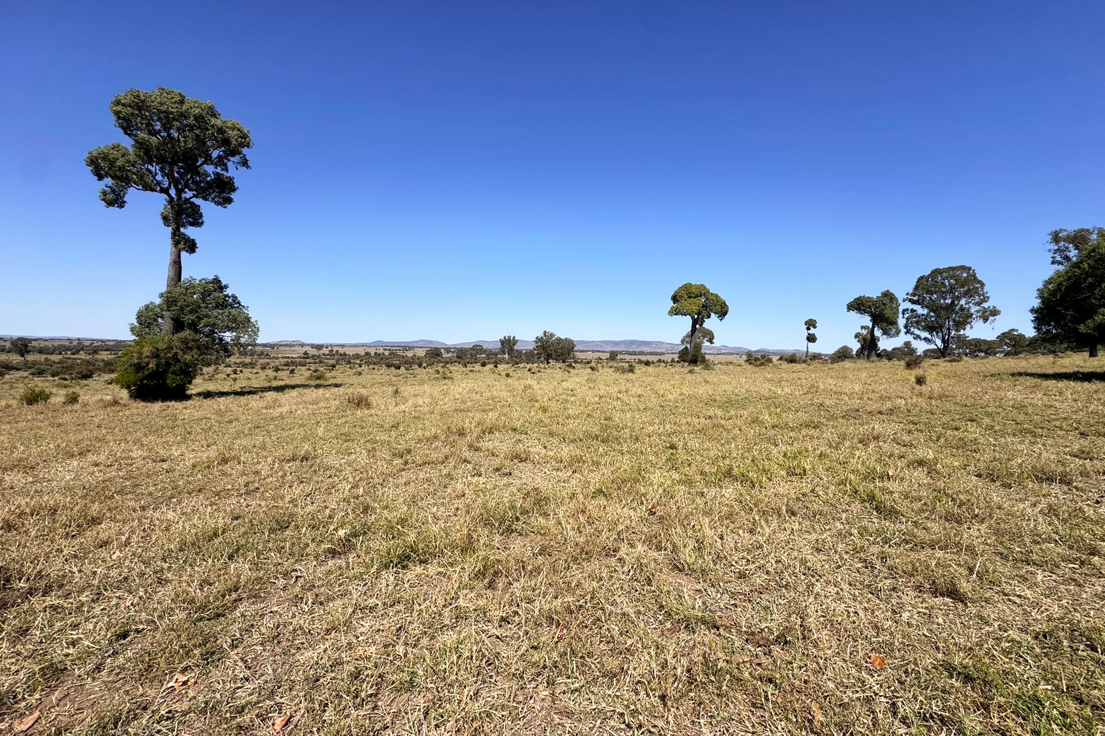 450 Orange Creek Road, Orange Creek - Thumbnail 2