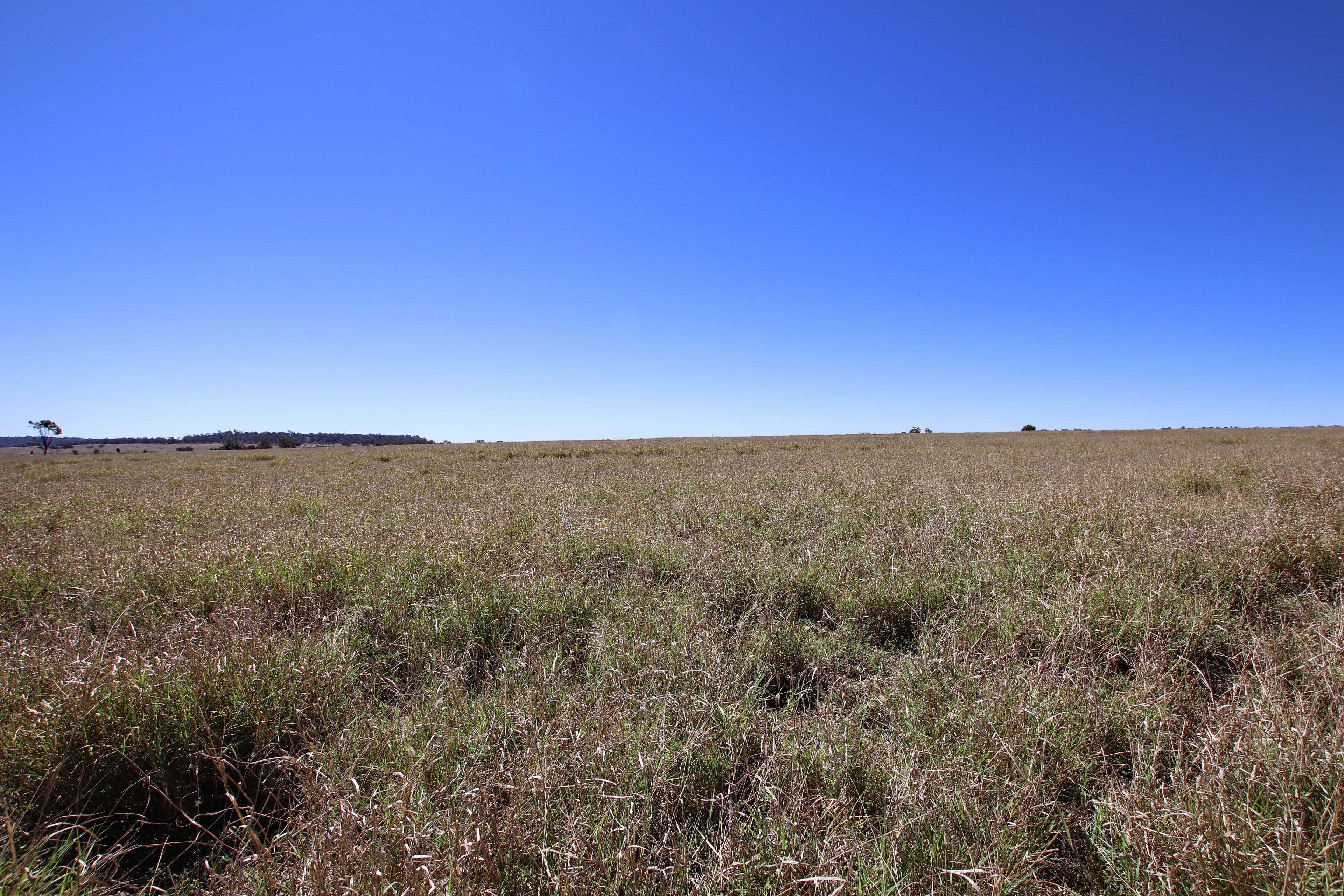 450 Orange Creek Road, Orange Creek - Thumbnail 4