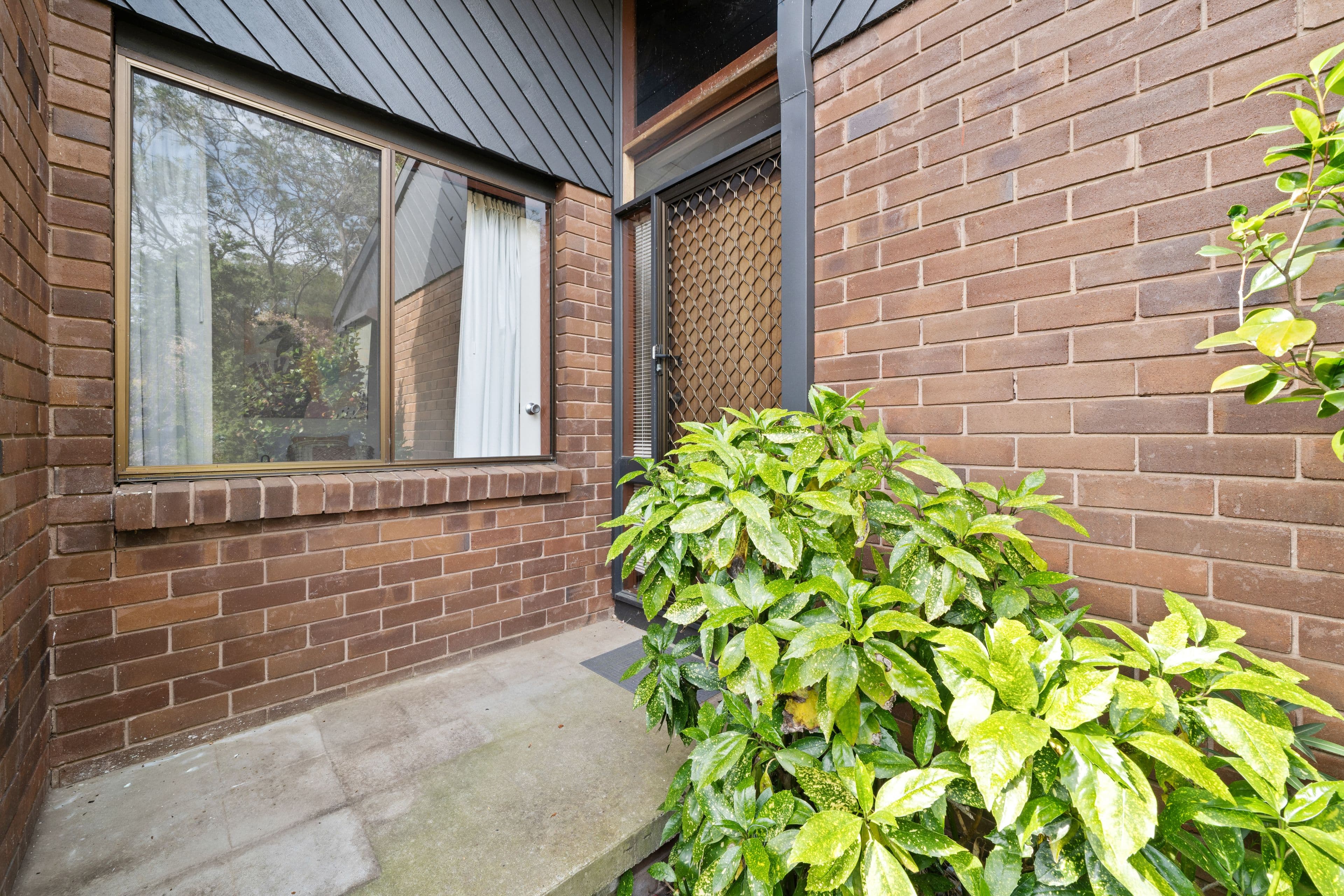 5 Lane-Poole Place , Yarralumla ACT 2600, Yarralumla - Thumbnail 4