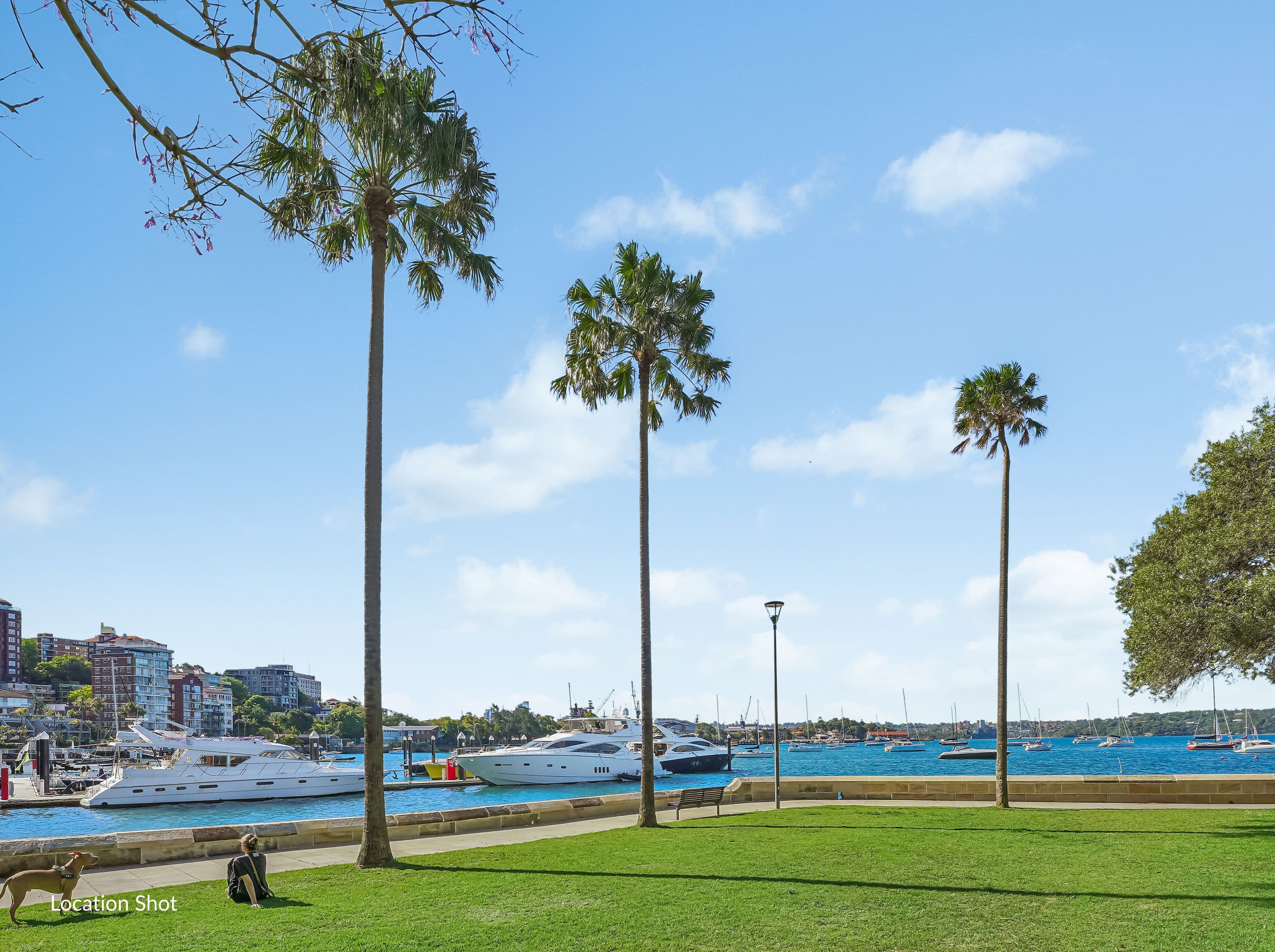106 Elizabeth Bay Road , Elizabeth Bay NSW 2011, Elizabeth Bay - Thumbnail 6