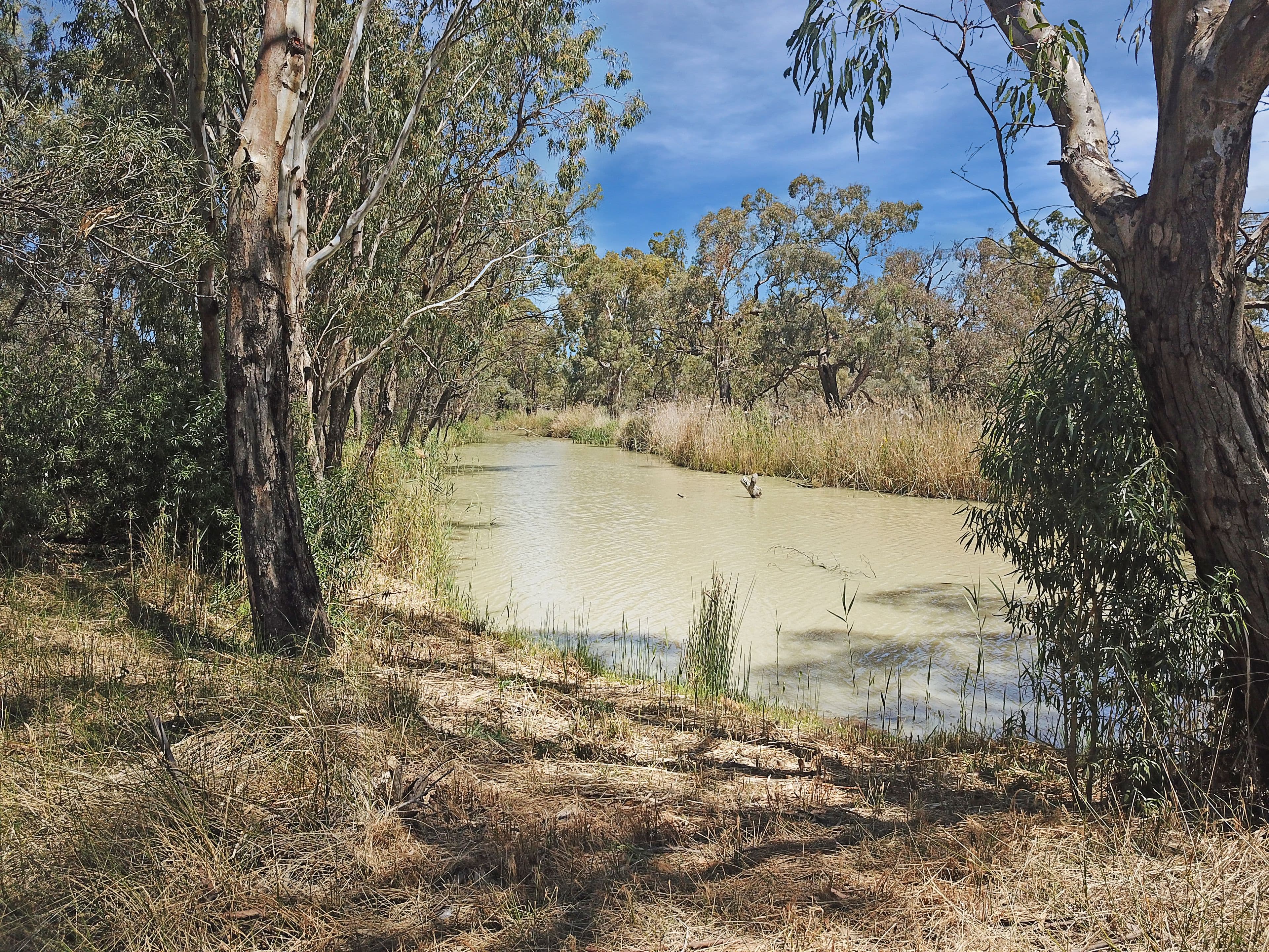 364 McBeans Run Road , McBean Pound SA 5357, McBean Pound - Thumbnail 7
