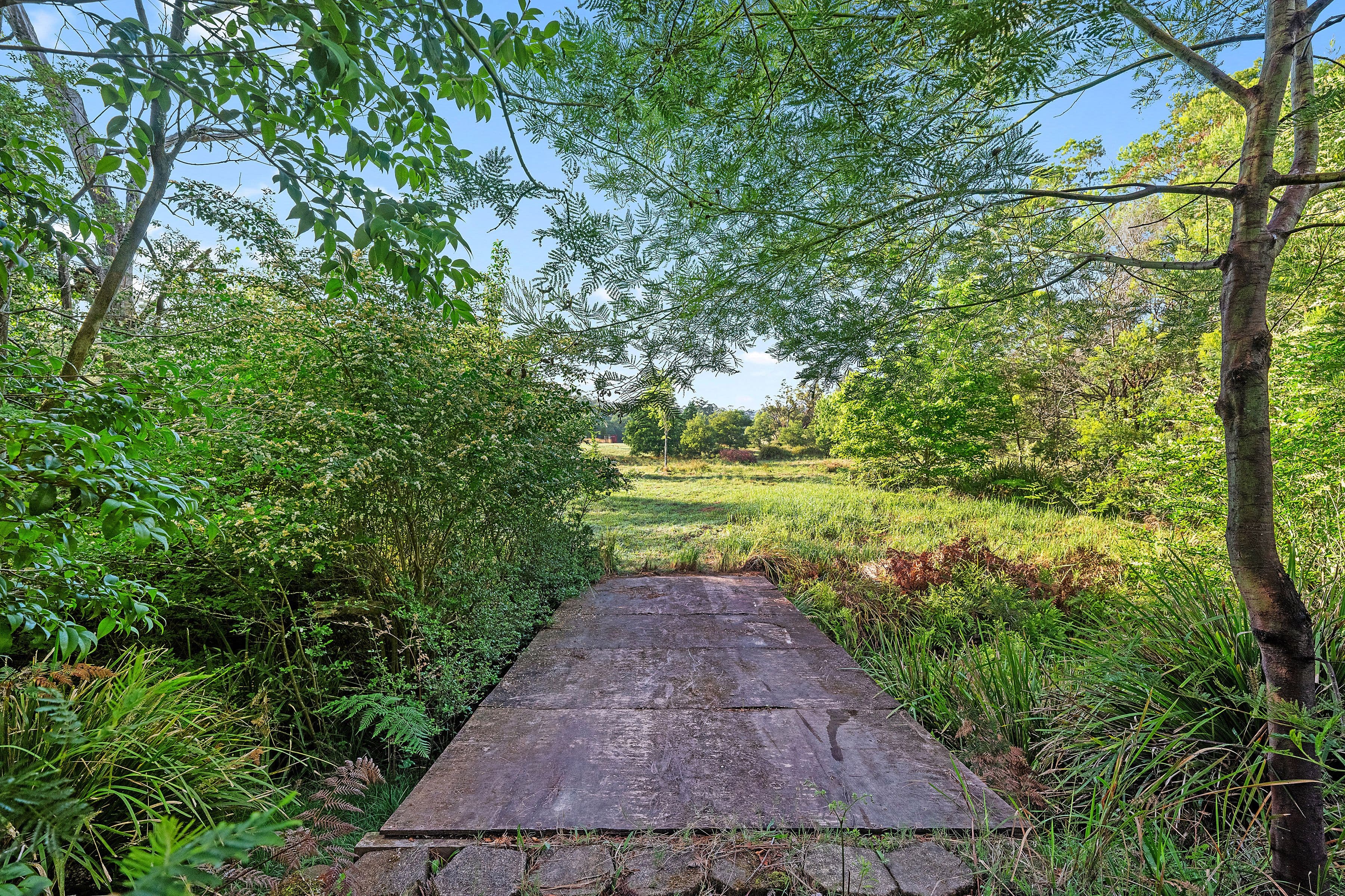 867 Mandalong Road , Mandalong NSW 2264, Mandalong - Thumbnail 4