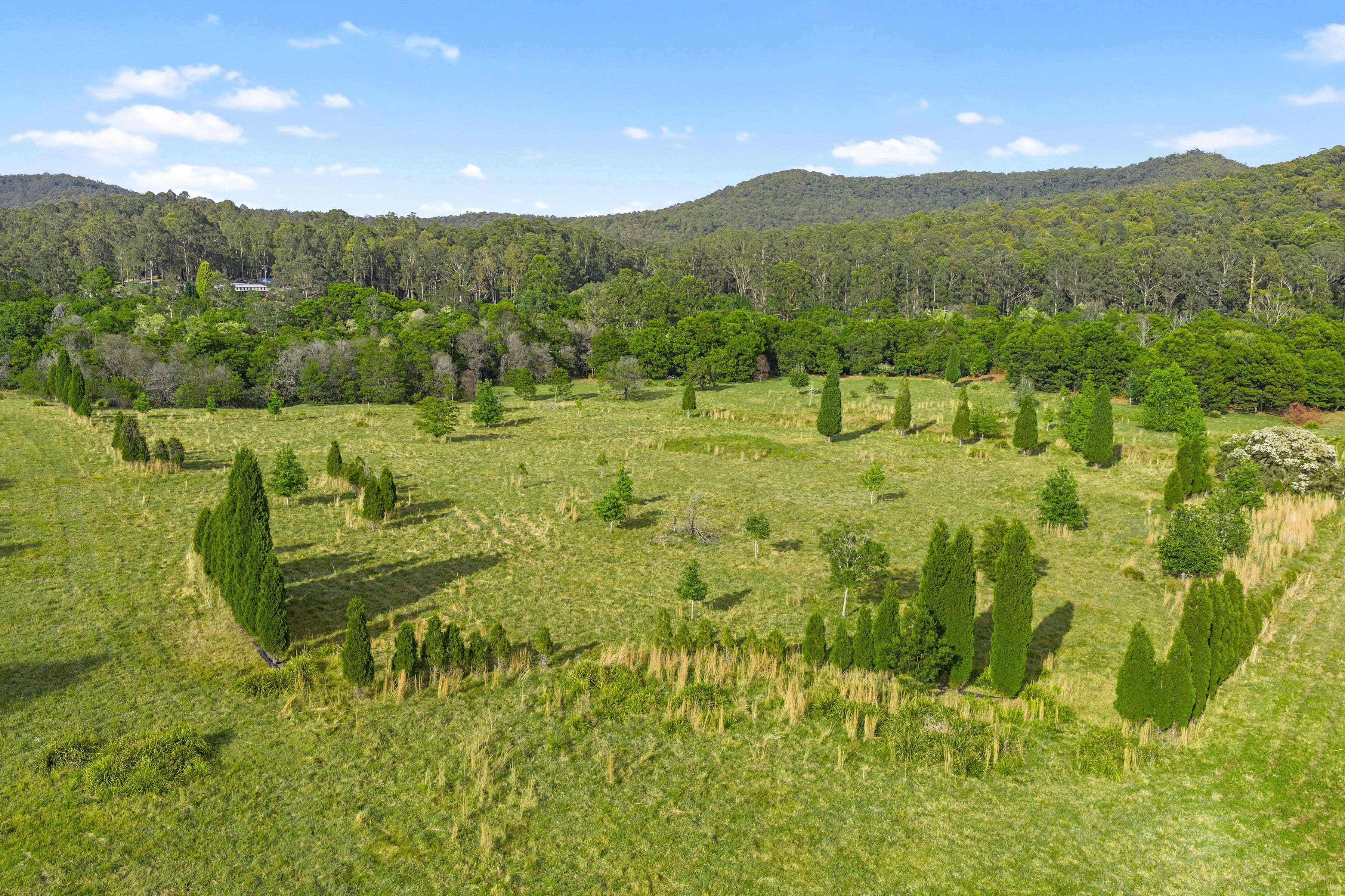 867 Mandalong Road , Mandalong NSW 2264, Mandalong - Thumbnail 6