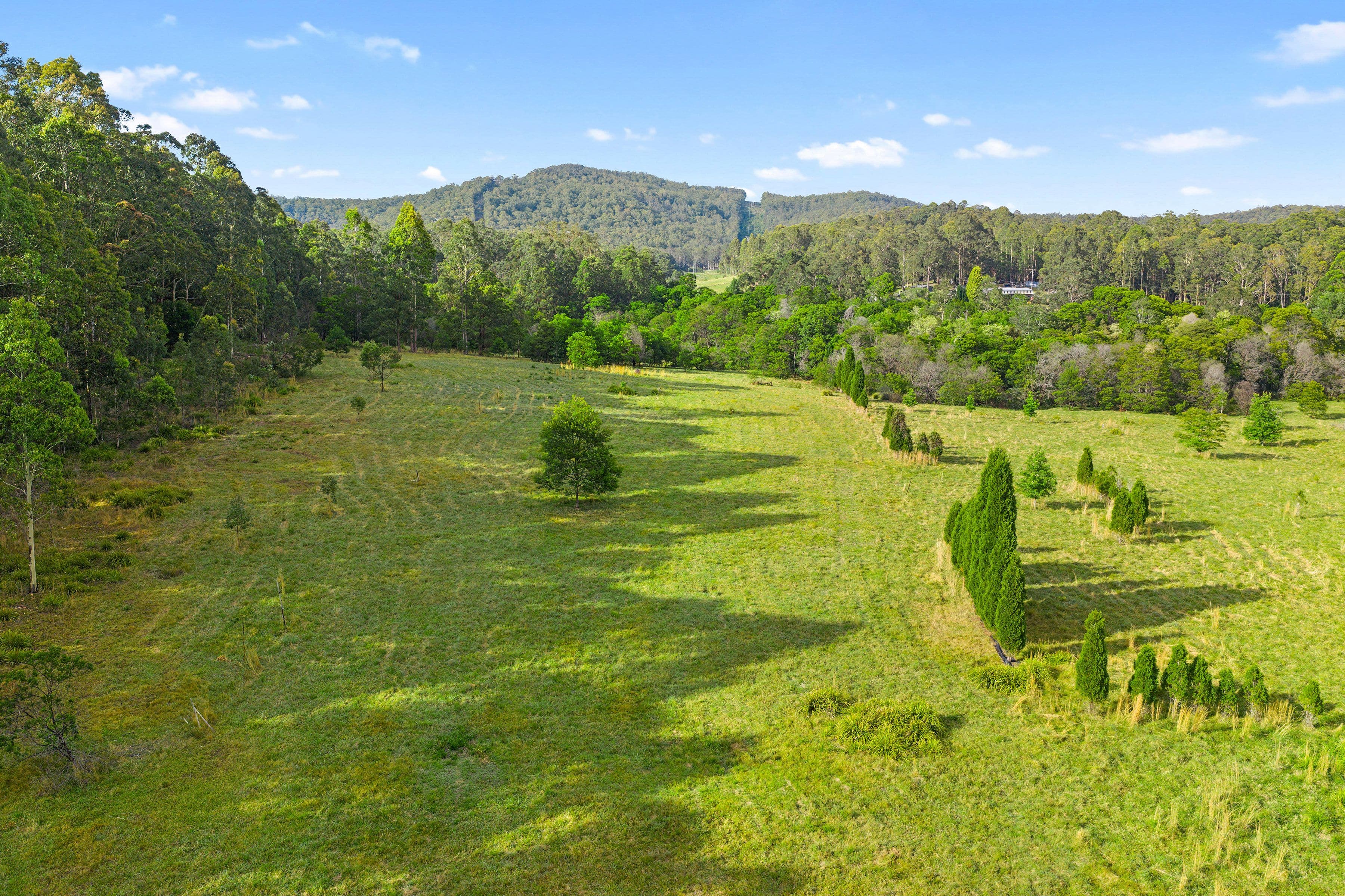 867 Mandalong Road , Mandalong NSW 2264, Mandalong - Thumbnail 7