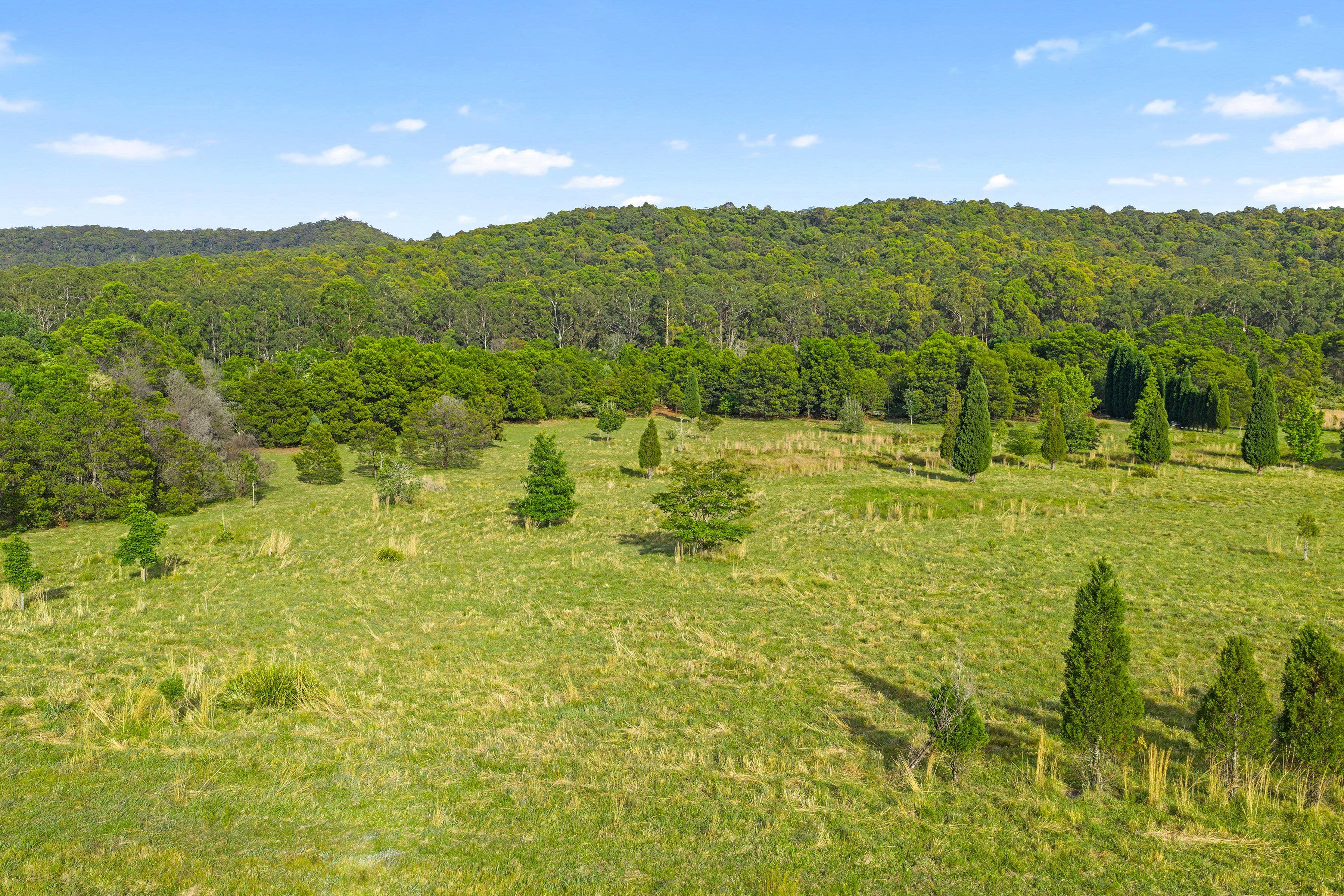 867 Mandalong Road , Mandalong NSW 2264, Mandalong - Thumbnail 8