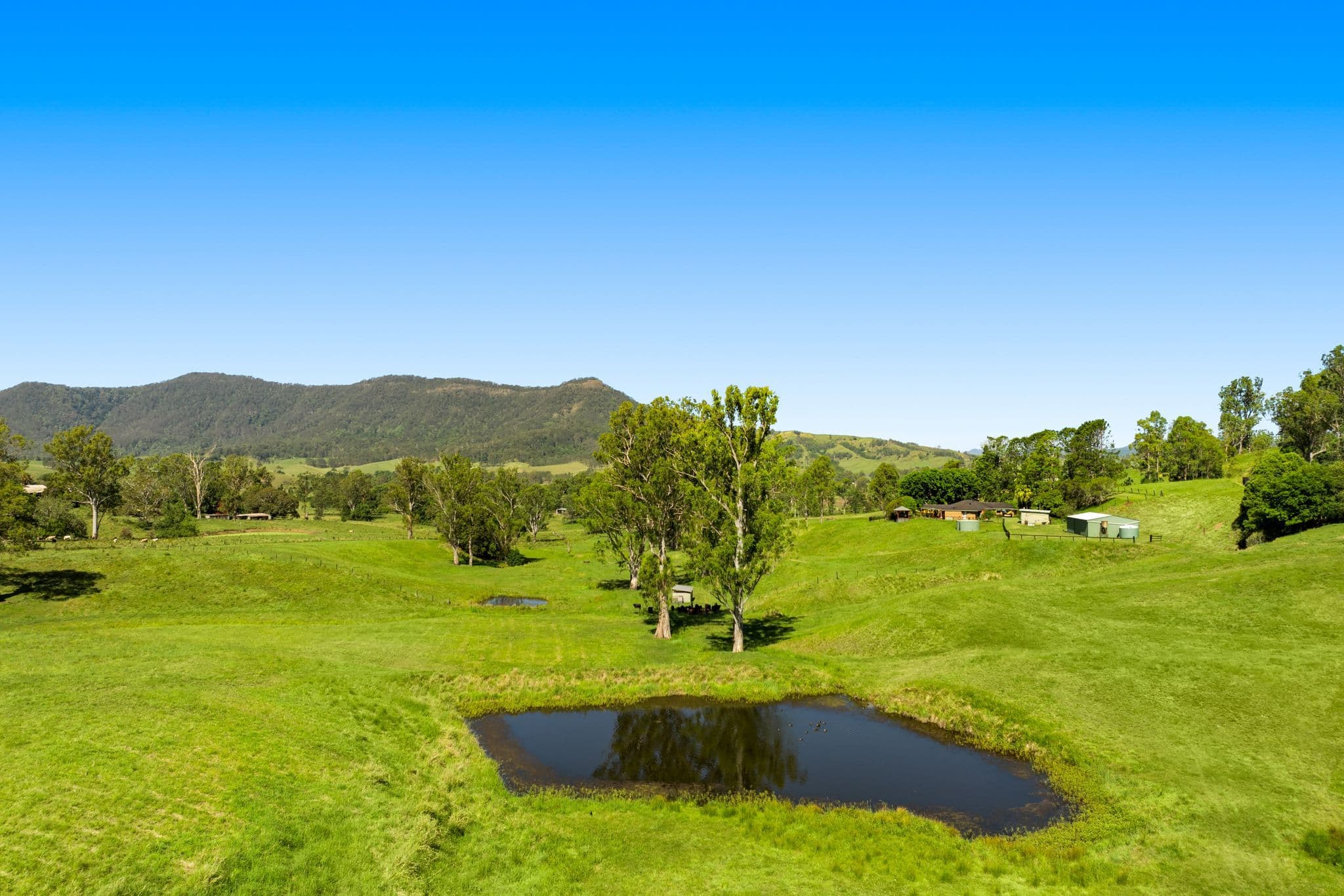 1255 Wiangaree Back Road , Kyogle NSW 2474, Kyogle - Image 1