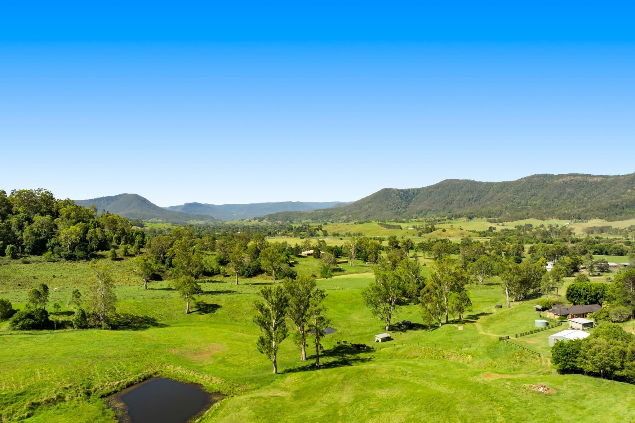 1255 Wiangaree Back Road , Kyogle NSW 2474, Kyogle - Thumbnail 3