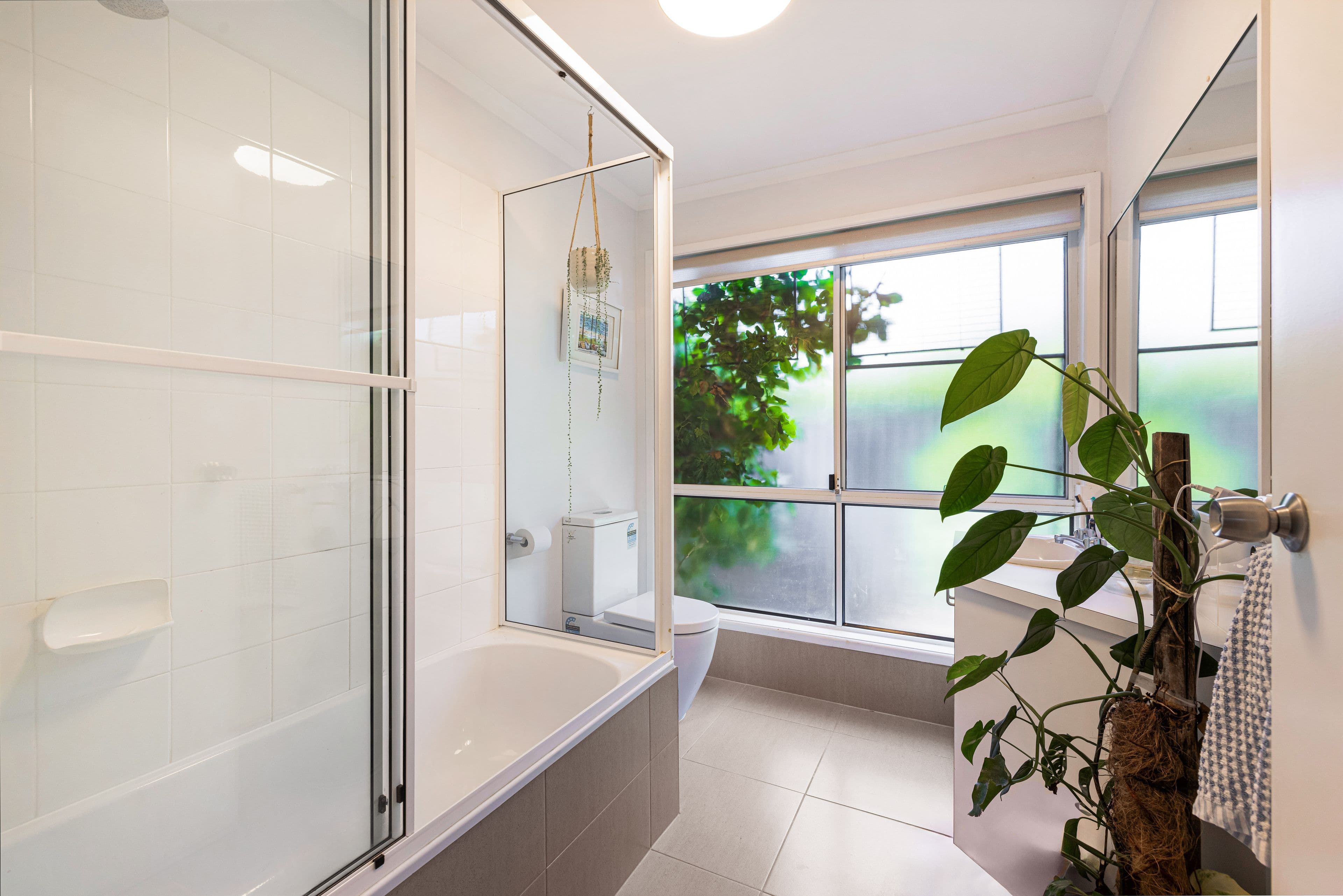 39B King Street , Buderim QLD 4556, Buderim - Thumbnail 6