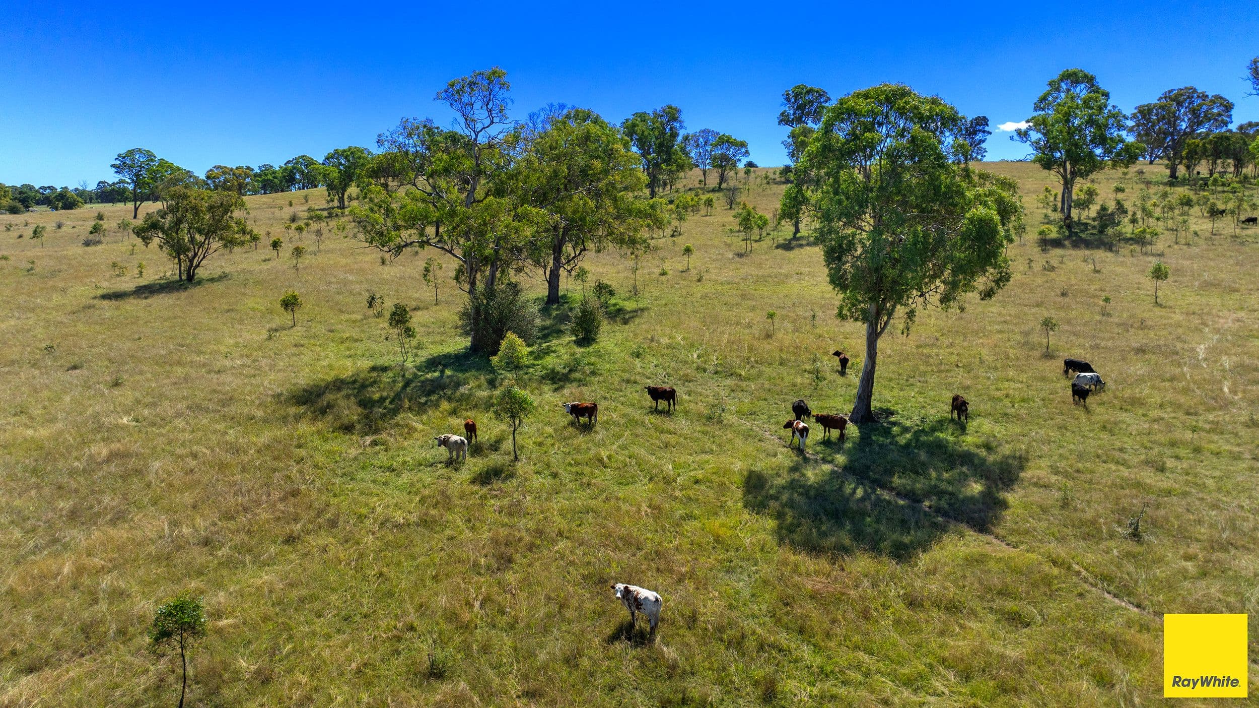 267 Long Swamp Road , Armidale NSW 2350, Armidale - Thumbnail 8