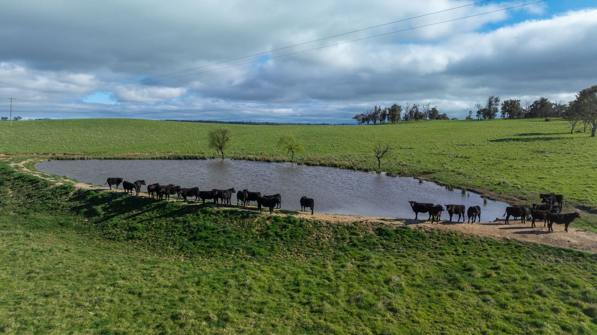 'Ardaminga' Linfield Road , Armidale NSW 2350, Armidale - Thumbnail 2
