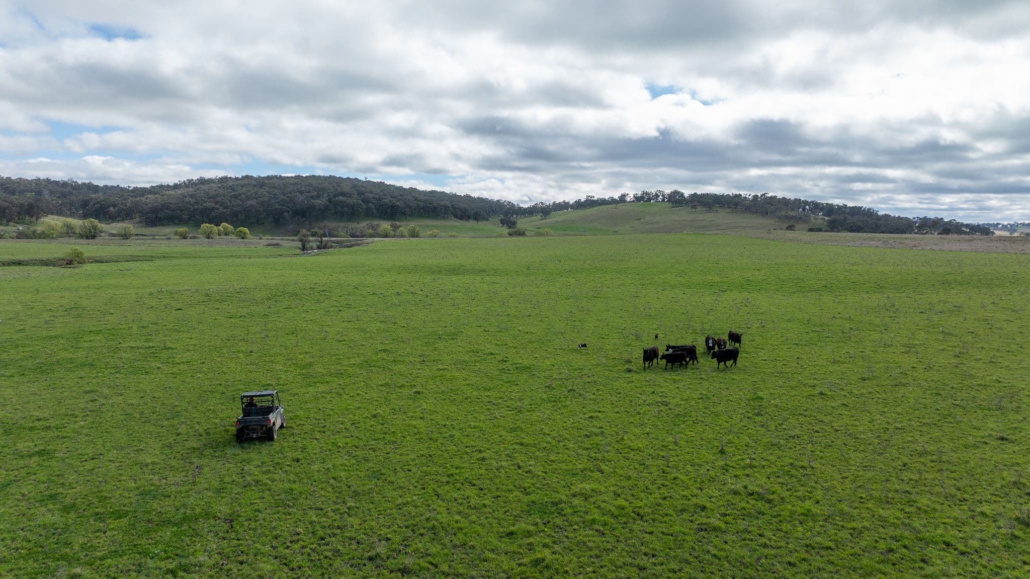 'Ardaminga' Linfield Road , Armidale NSW 2350, Armidale - Thumbnail 3