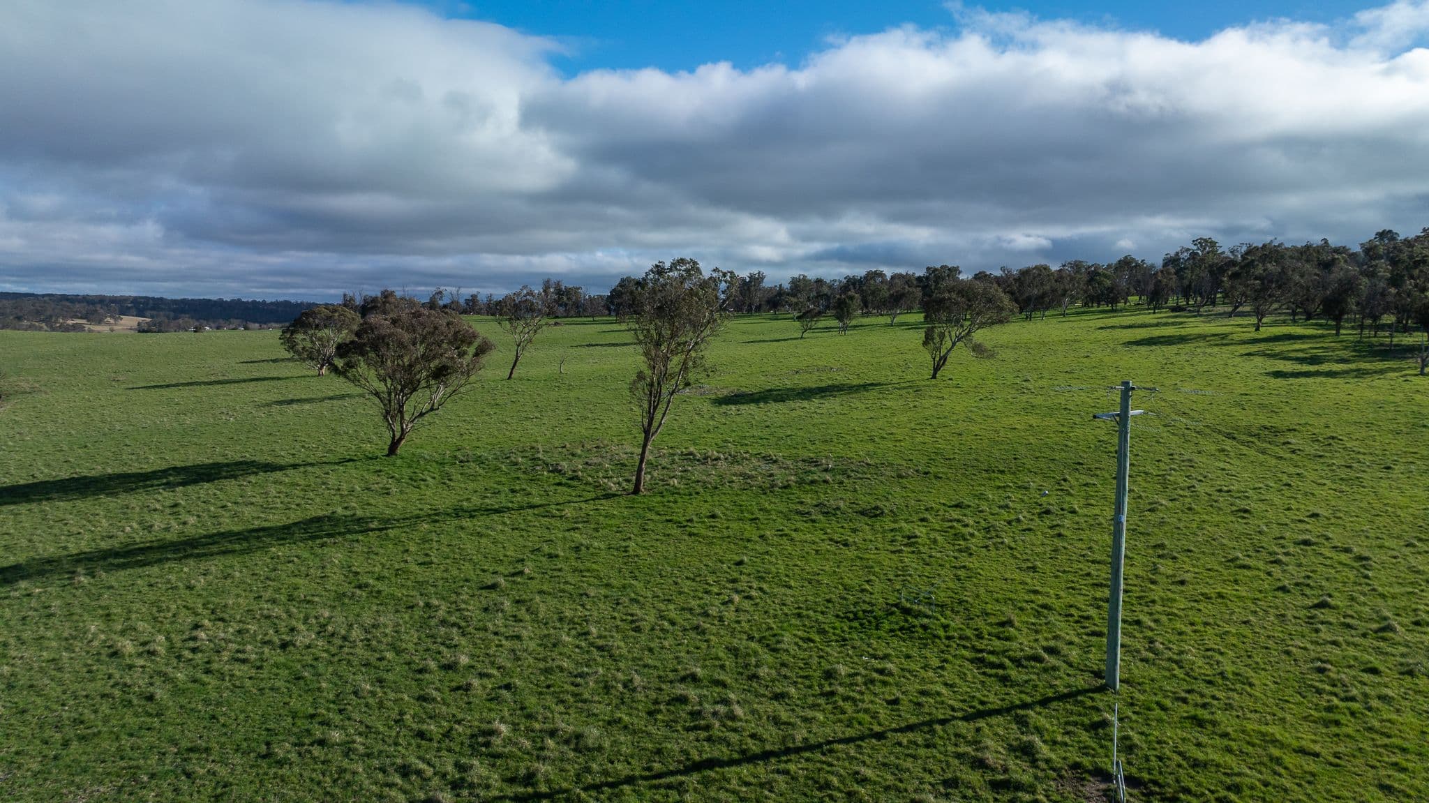 'Ardaminga' Linfield Road , Armidale NSW 2350, Armidale - Thumbnail 4