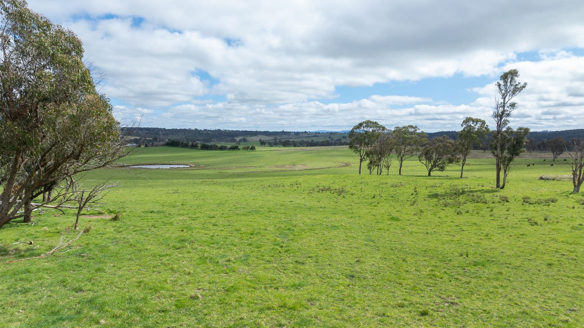 'Ardaminga' Linfield Road , Armidale NSW 2350, Armidale - Thumbnail 5