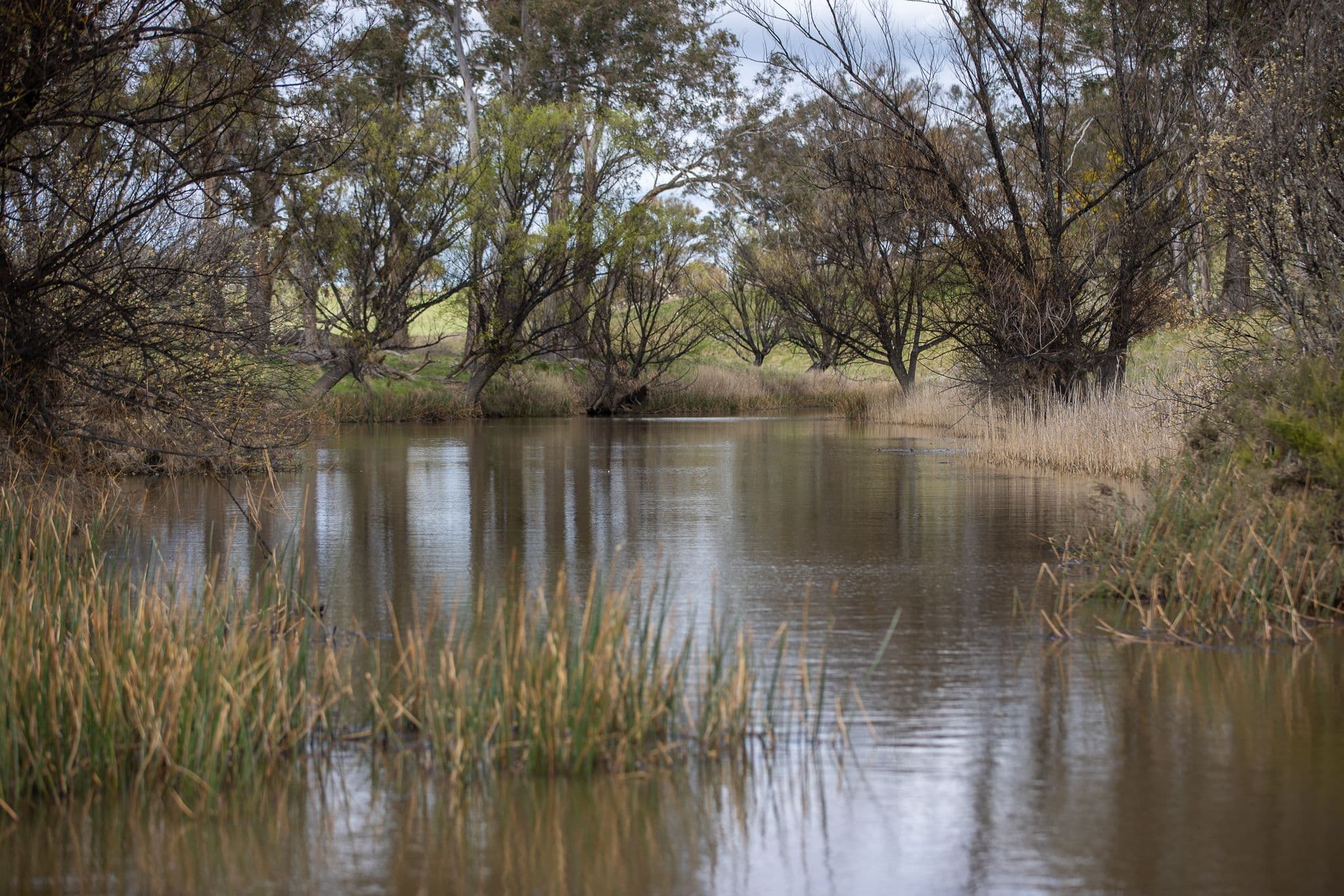 'Ardaminga' Linfield Road , Armidale NSW 2350, Armidale - Thumbnail 7