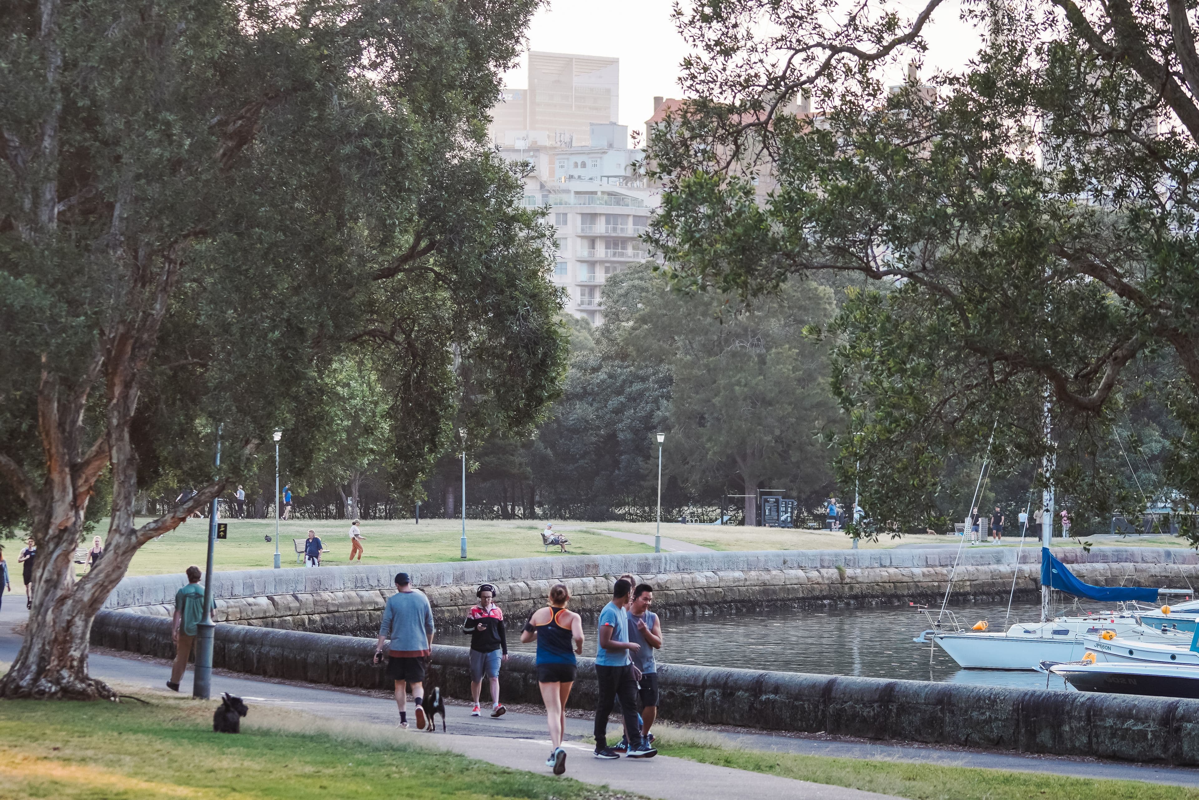 52-54 Kings Cross Road , Rushcutters Bay NSW 2011, Rushcutters Bay - Thumbnail 5