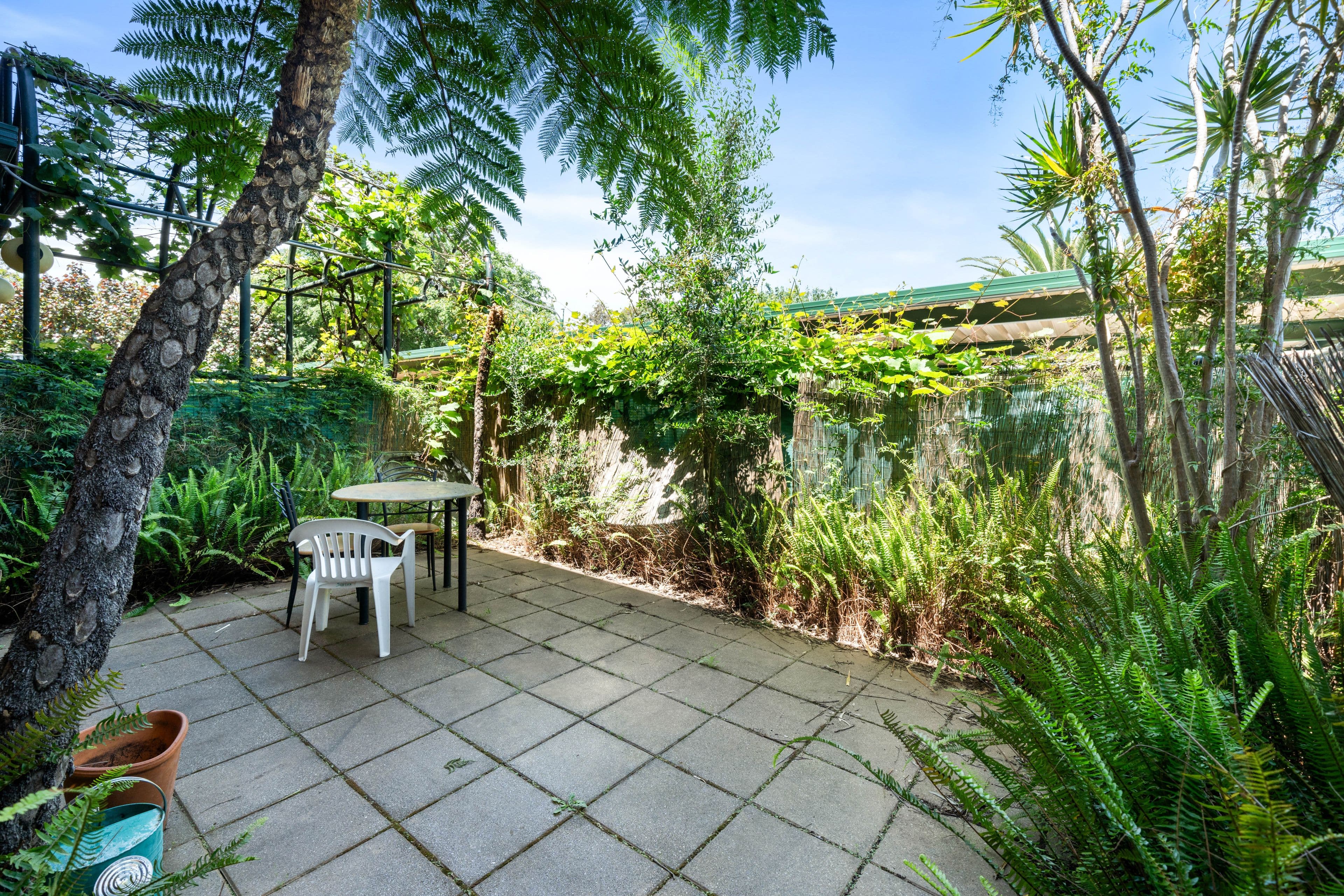 24 Le Hunte Street , Wayville SA 5034, Wayville - Thumbnail 8