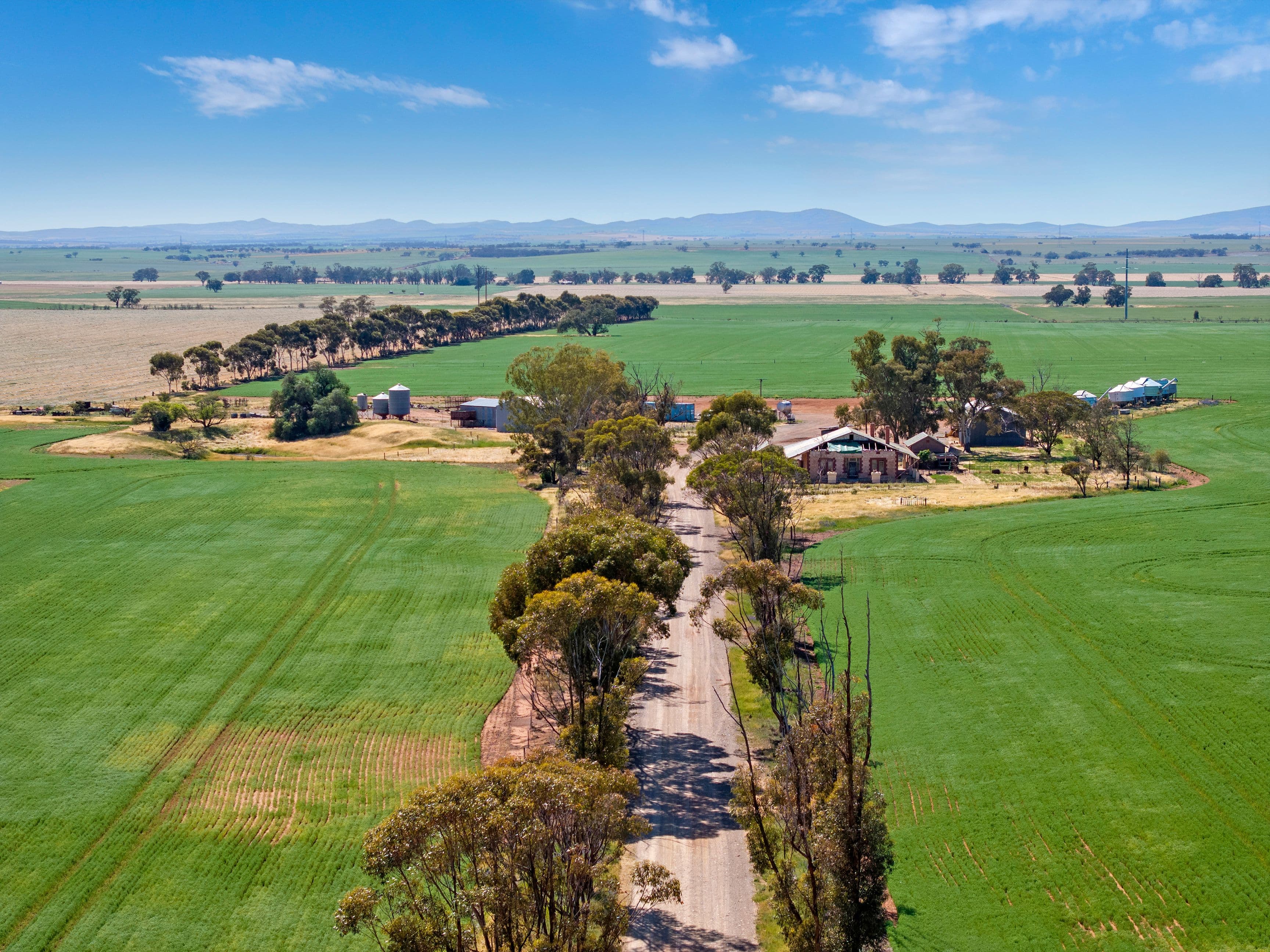 'Denham' Bishop Road , Melrose SA 5483, Melrose - Thumbnail 3